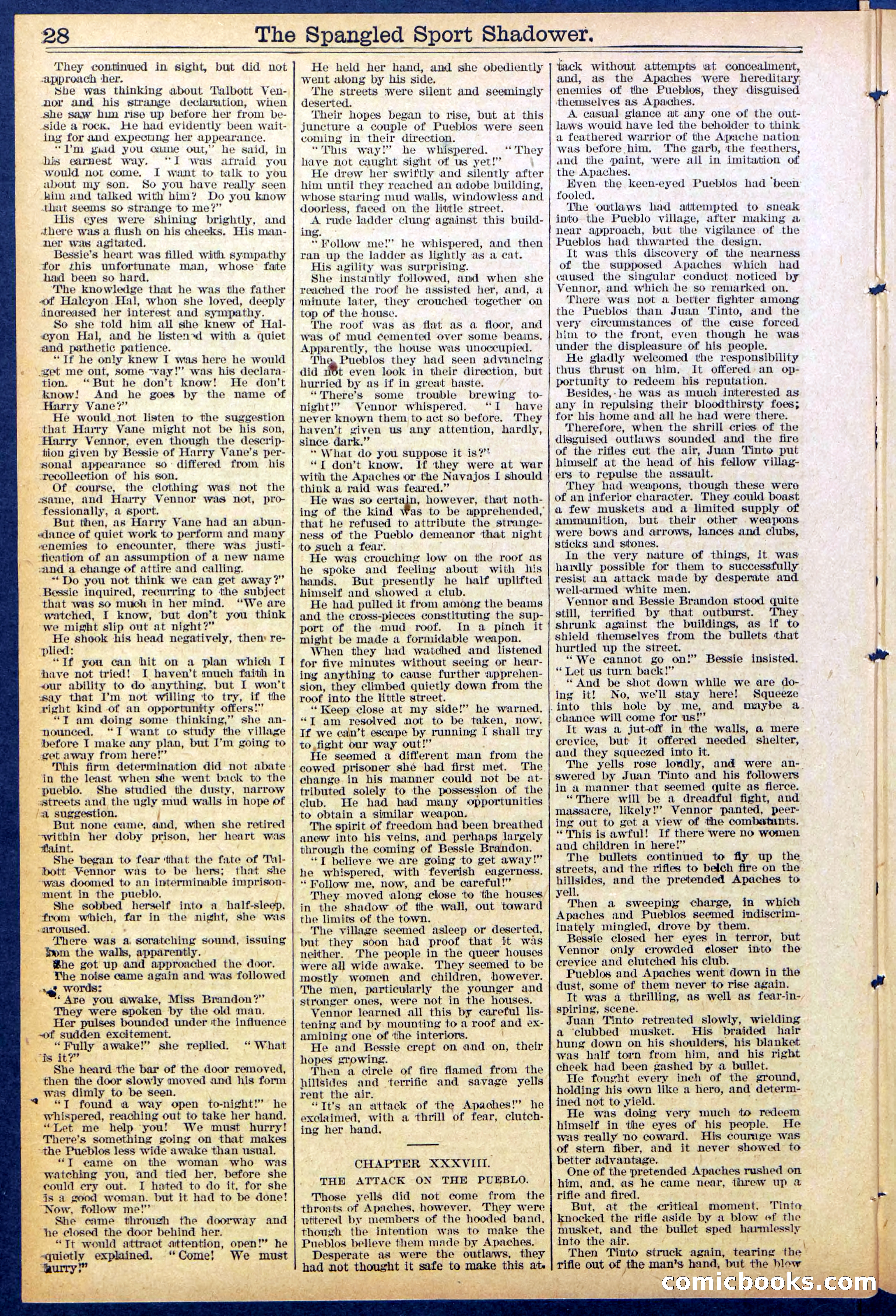 Beadle's Dime New York Library No. 860 — page 28 of 32