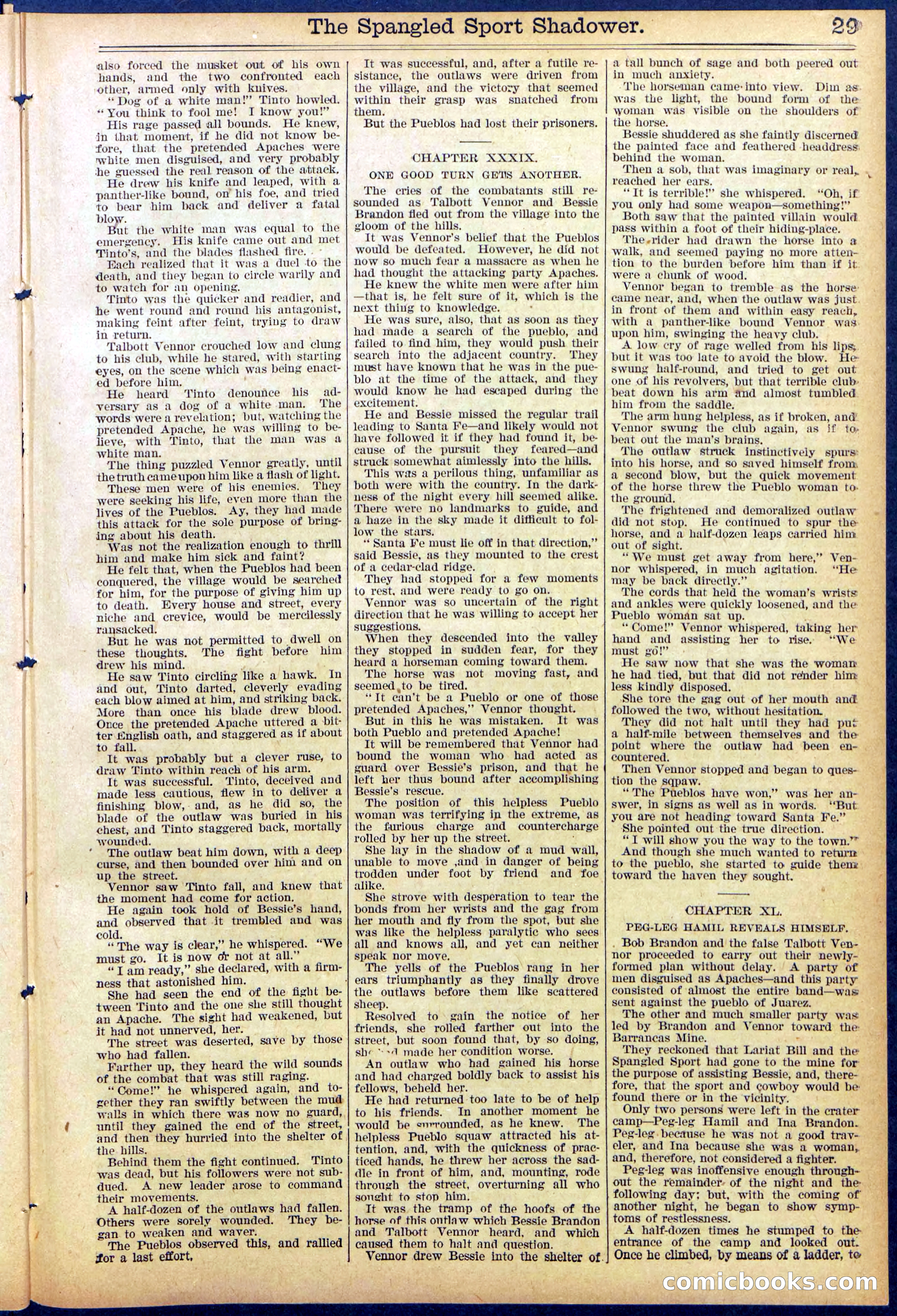 Beadle's Dime New York Library No. 860 — page 29 of 32