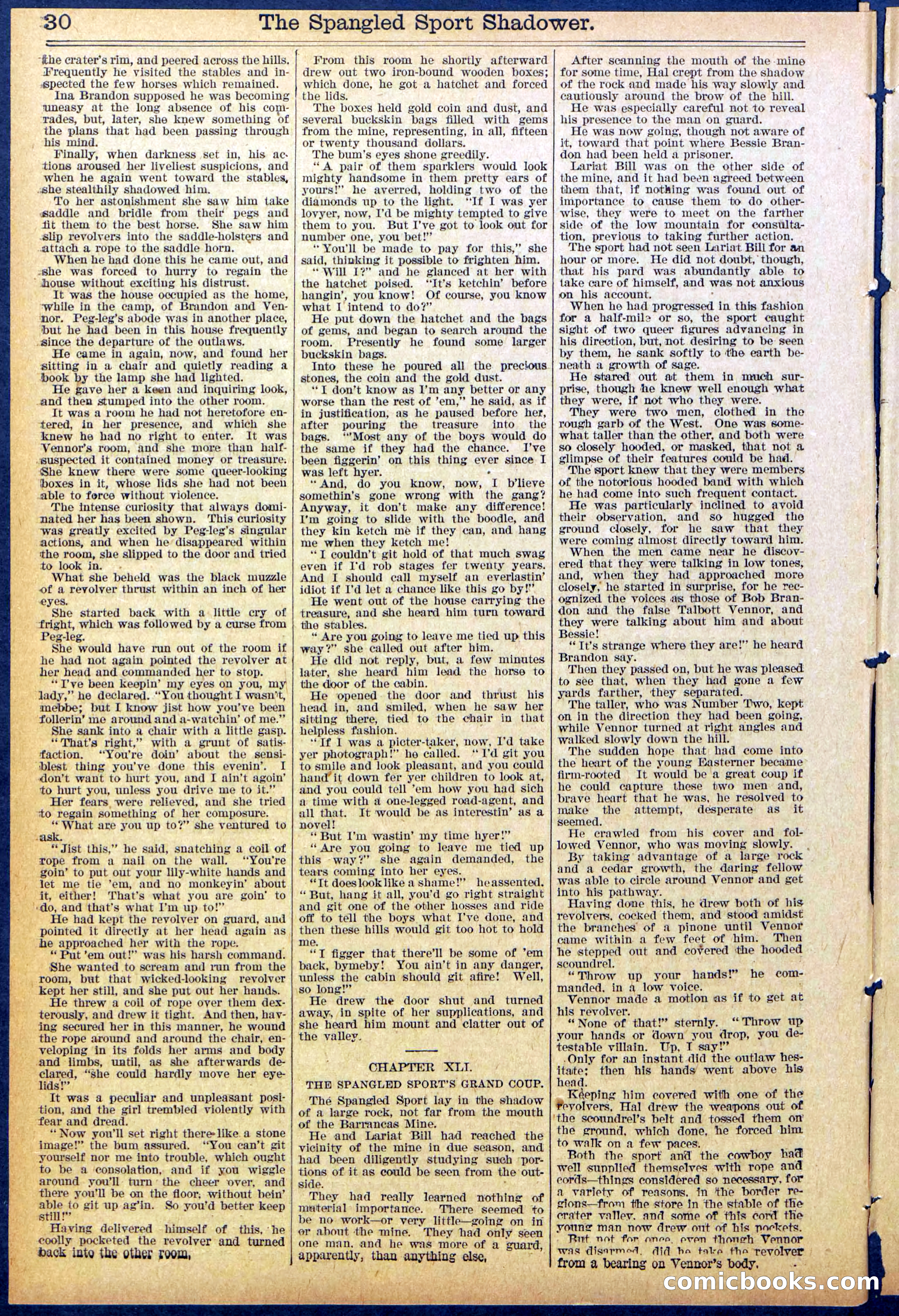 Beadle's Dime New York Library No. 860 — page 30 of 32