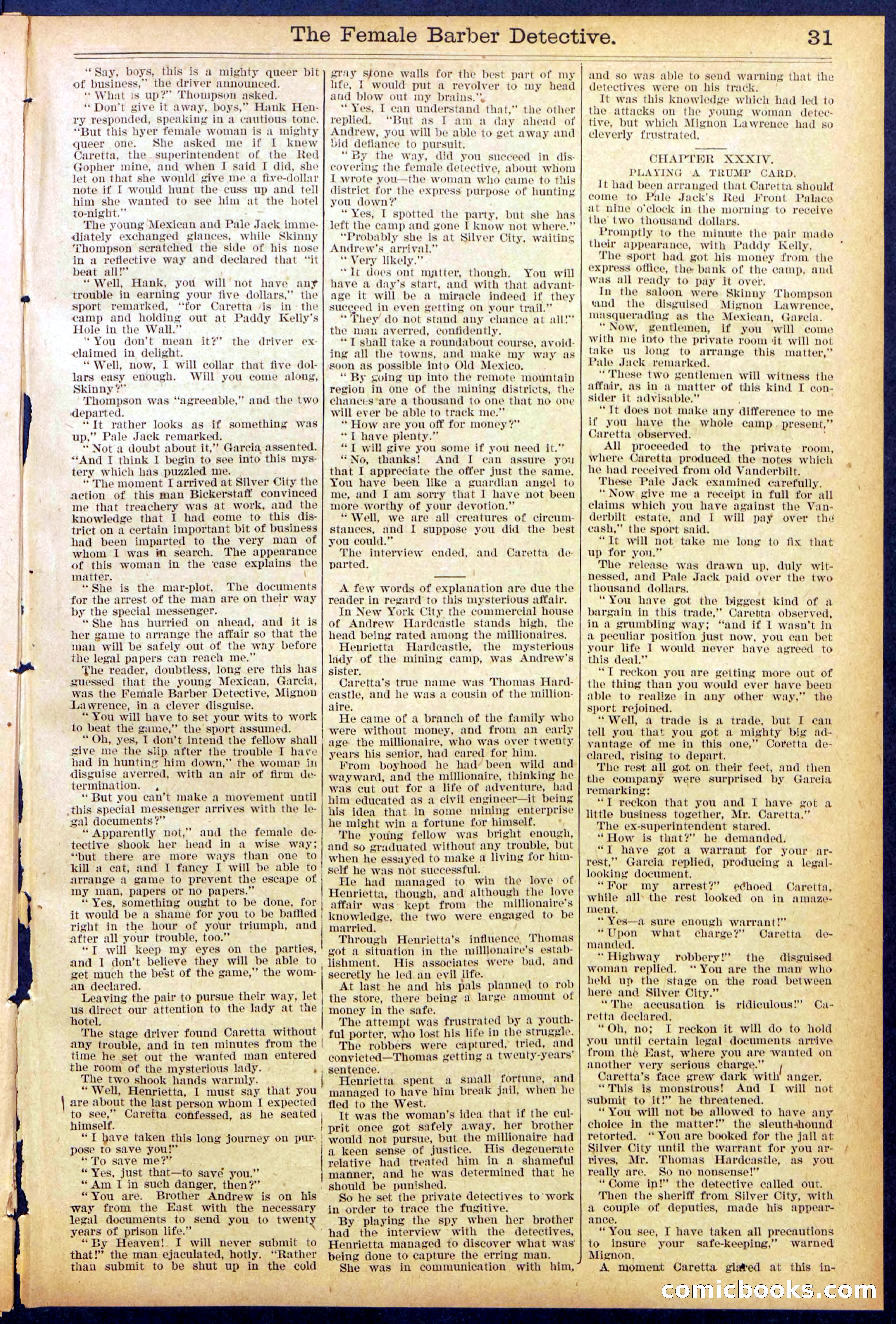 The Female Barber Detective — page 31 of 32
