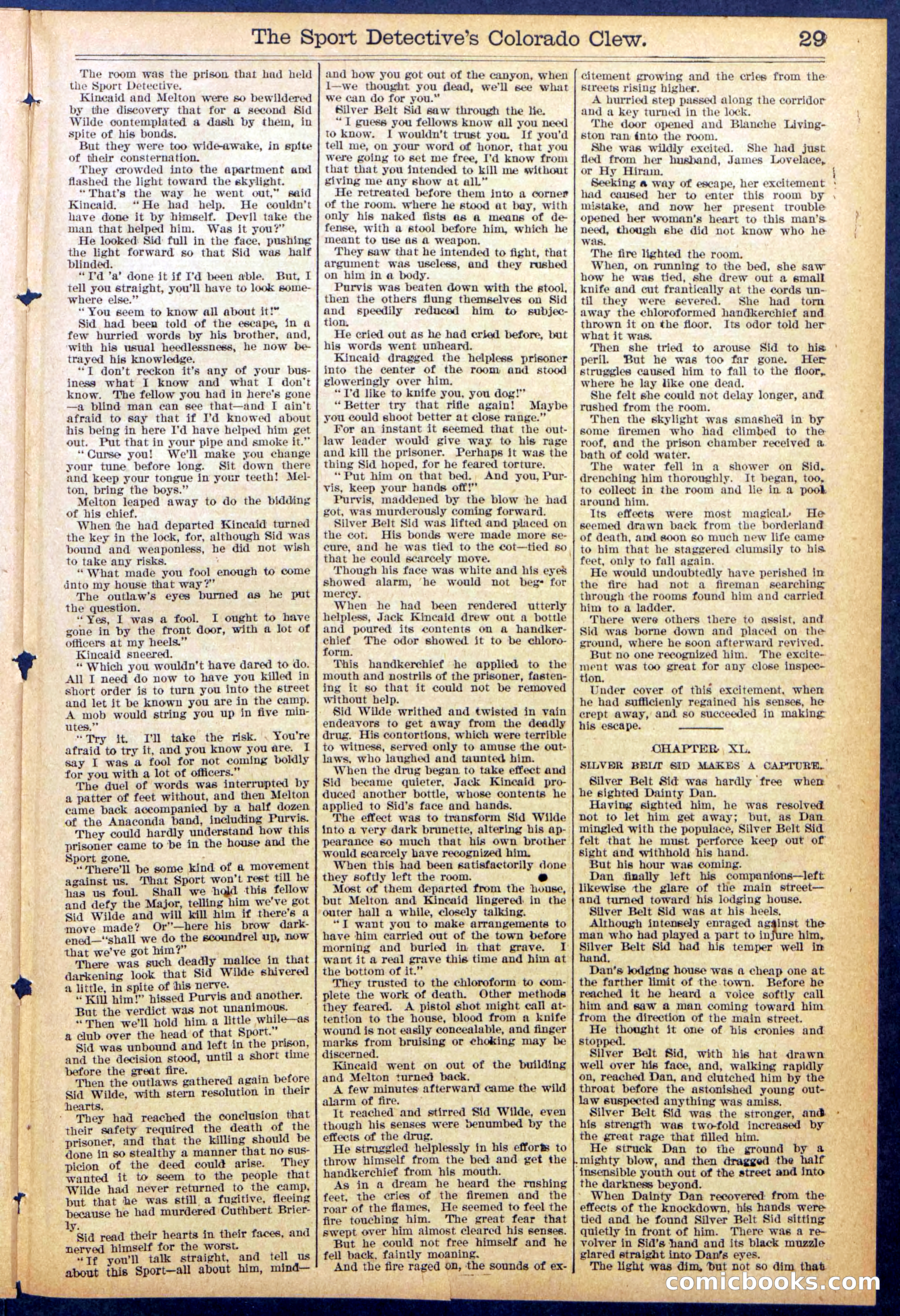 Beadle's Dime Library No. 373 (July 17, 1895) — page 29 of 32