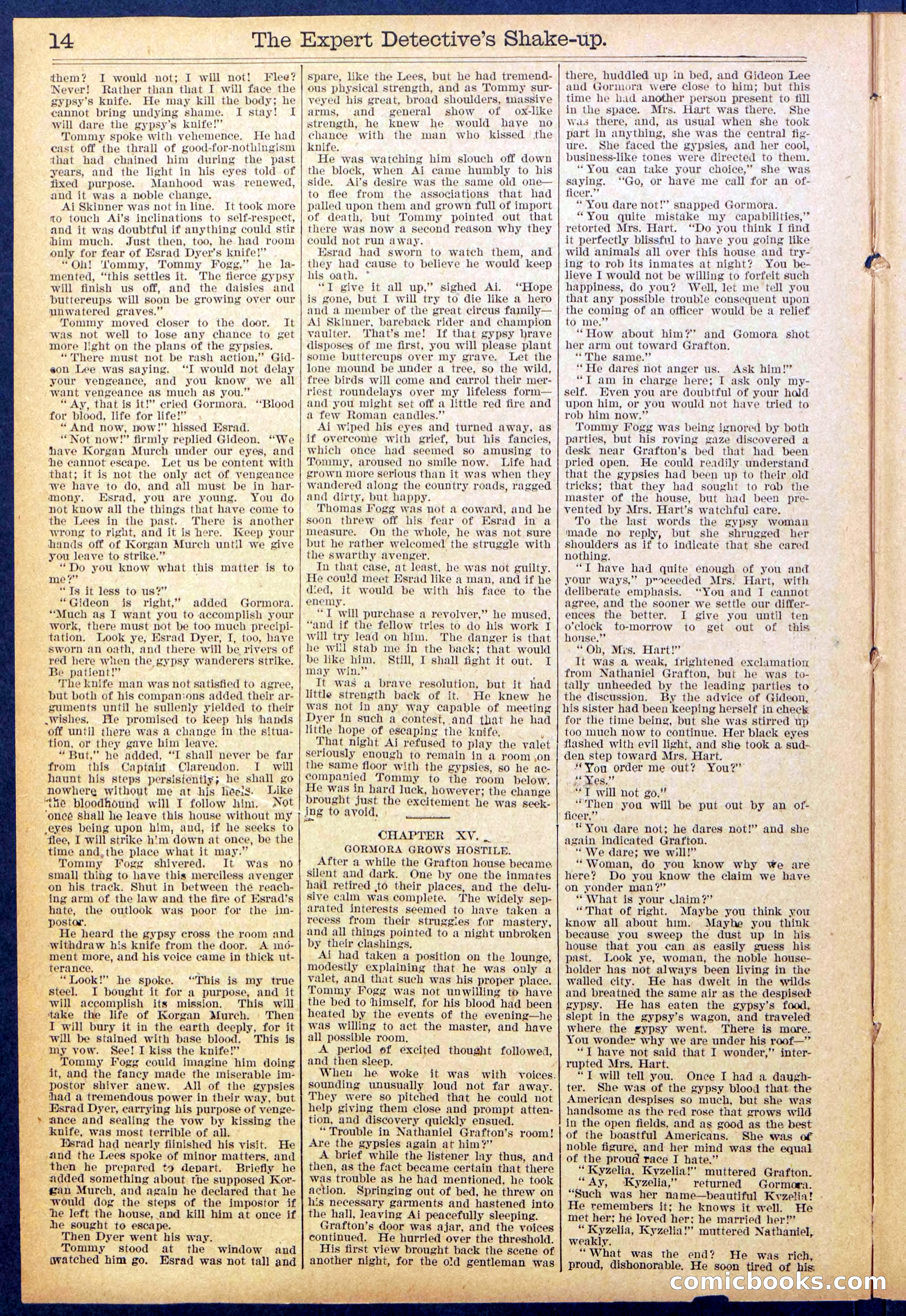 The Great Detective's Shake Up: Fake's Fight for a Fortune — page 14 of 32