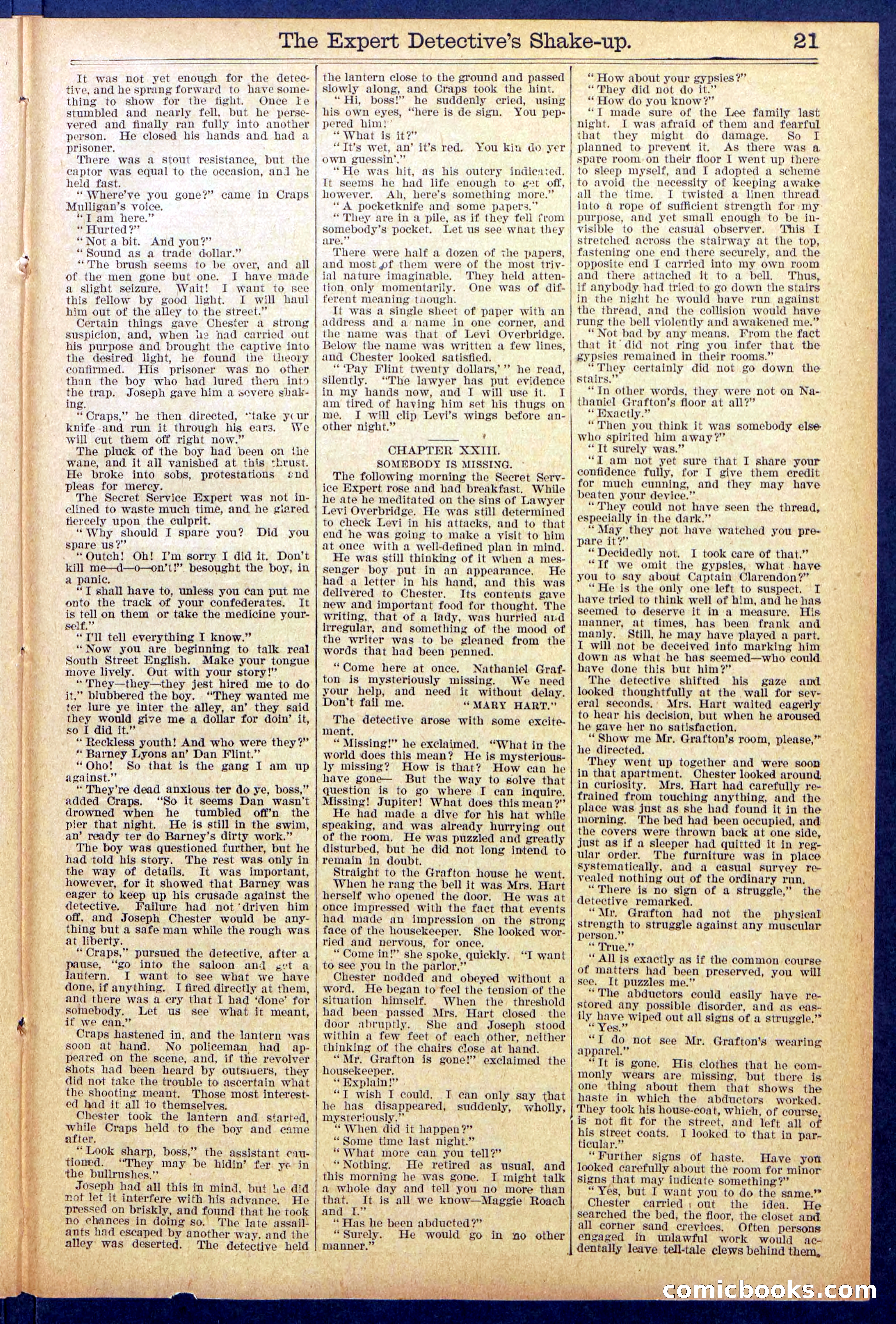 The Great Detective's Shake Up: Fake's Fight for a Fortune — page 21 of 32