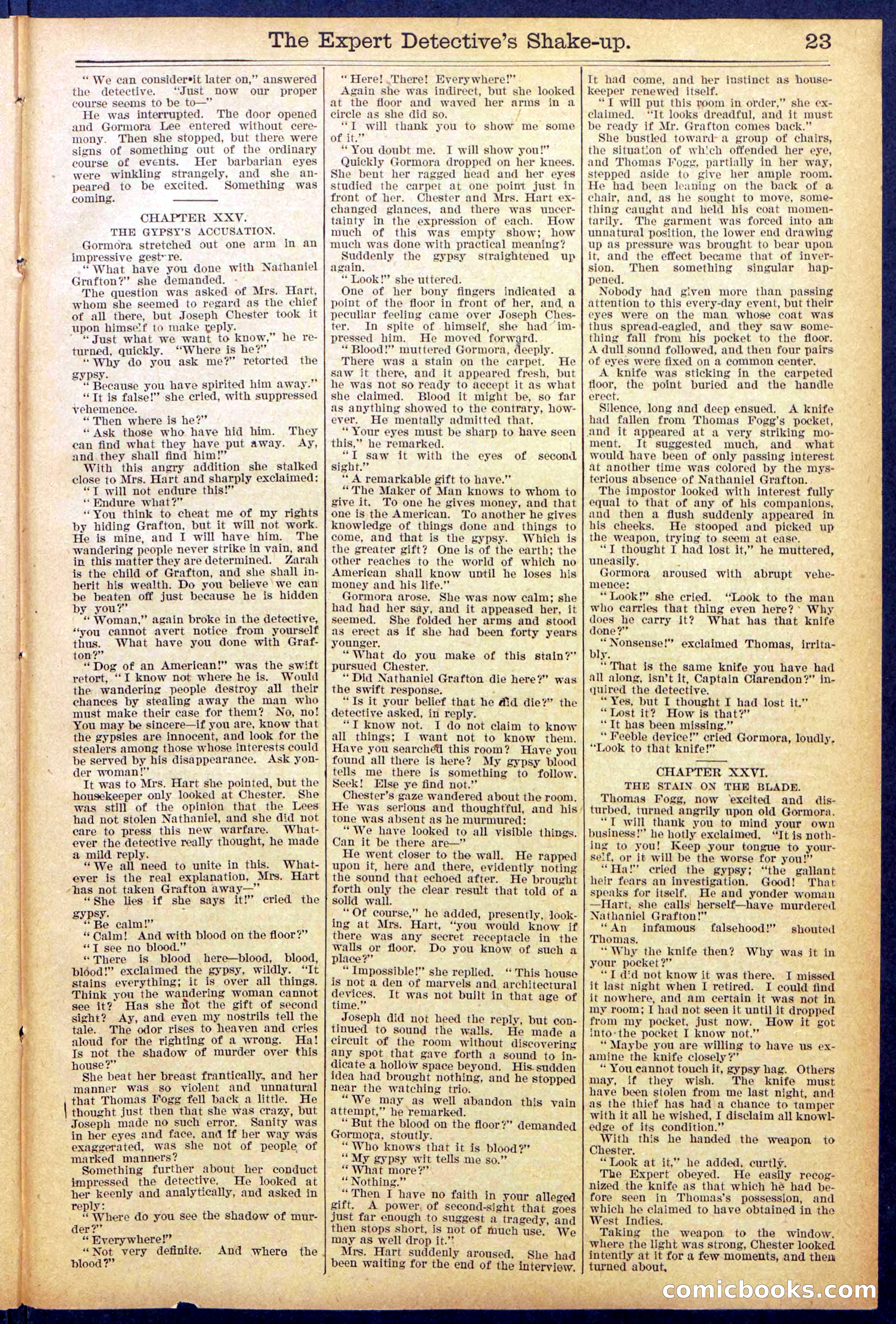 The Great Detective's Shake Up: Fake's Fight for a Fortune — page 23 of 32