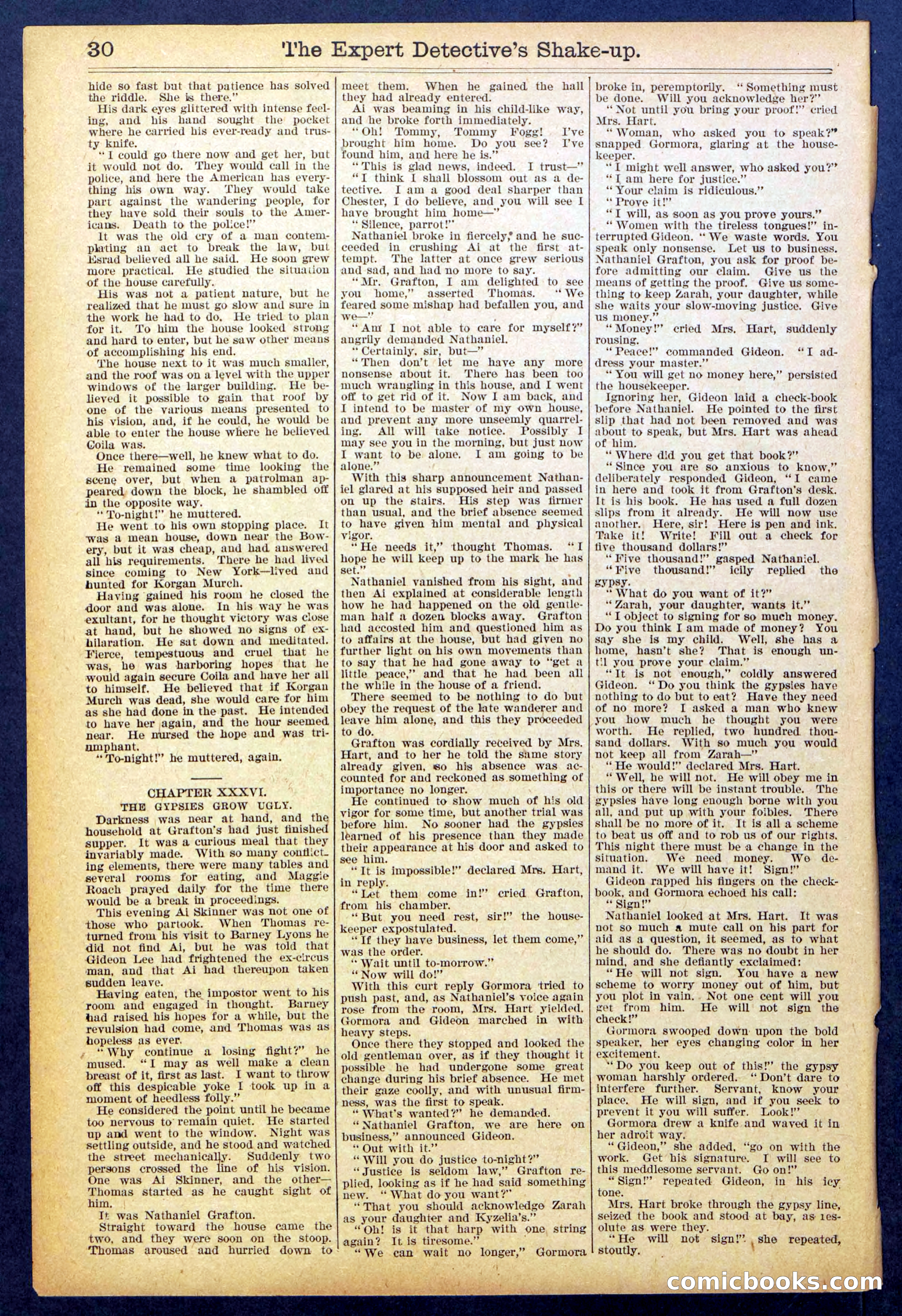 The Great Detective's Shake Up: Fake's Fight for a Fortune — page 30 of 32