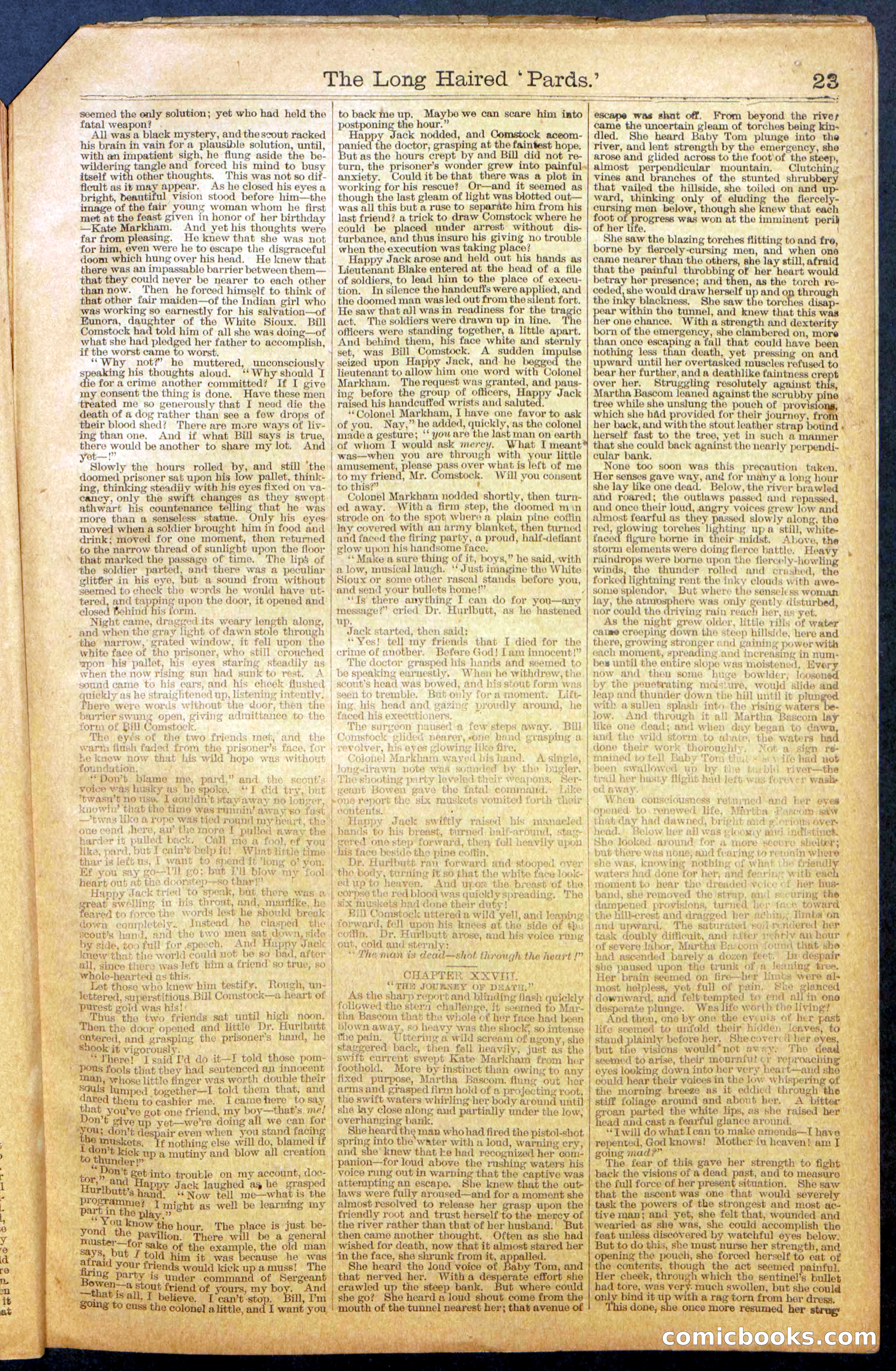 The Long Haired Bards; or, The Tartars of the Plains — page 25 of 36