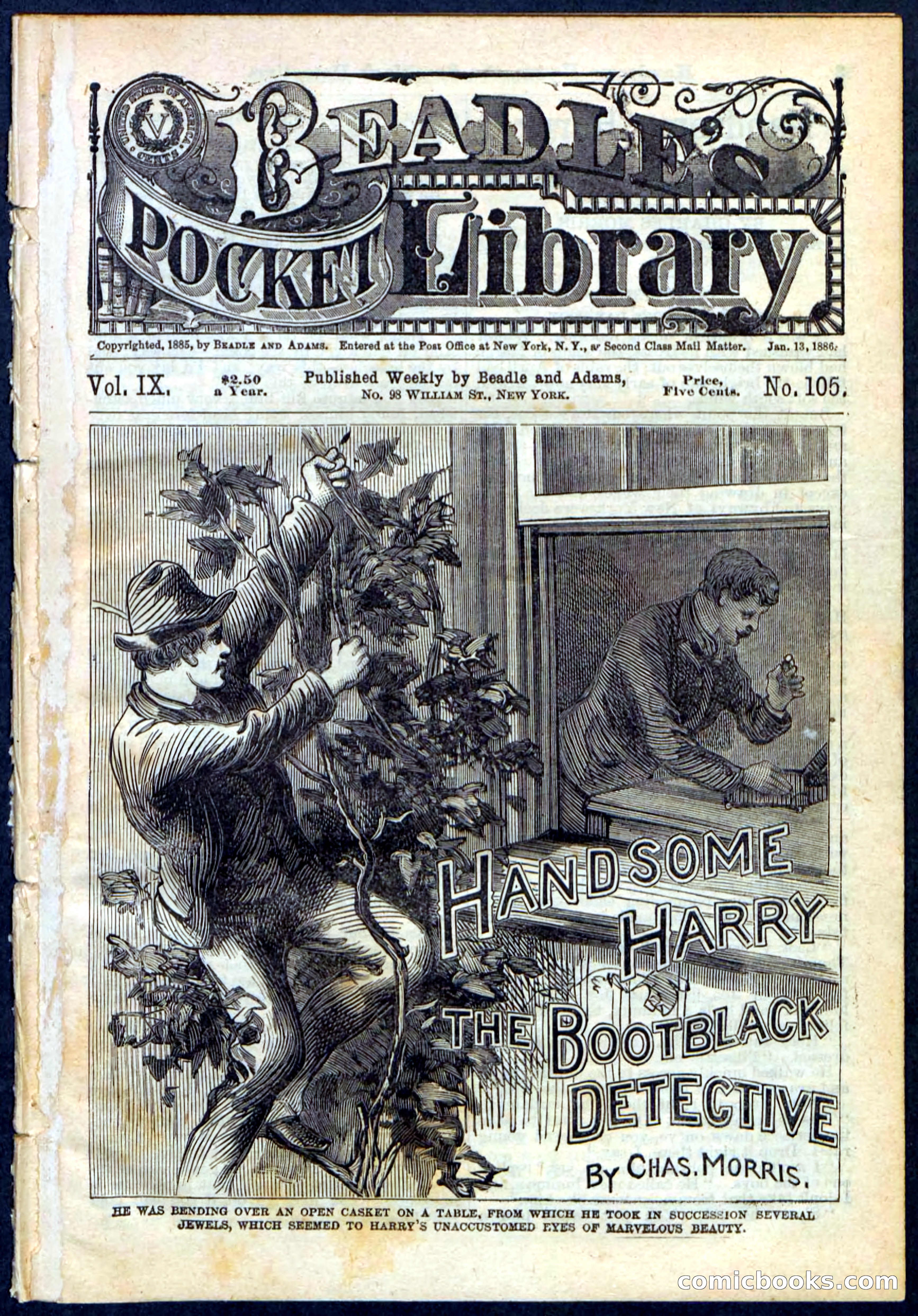 Beadle's Pocket Library, Vol. IX, No. 105