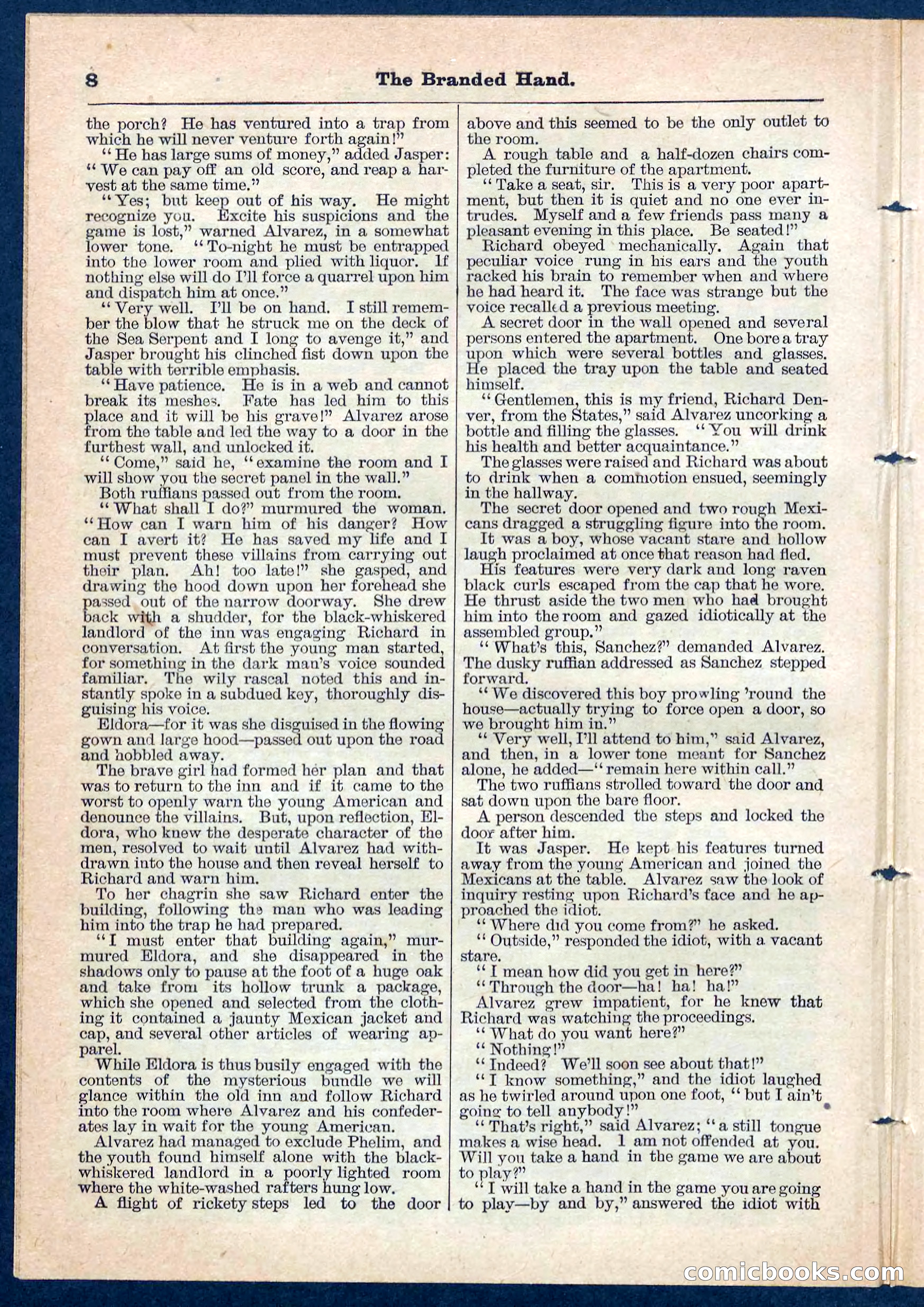 Beadle's Pocket Library No. 109 — page 8 of 32