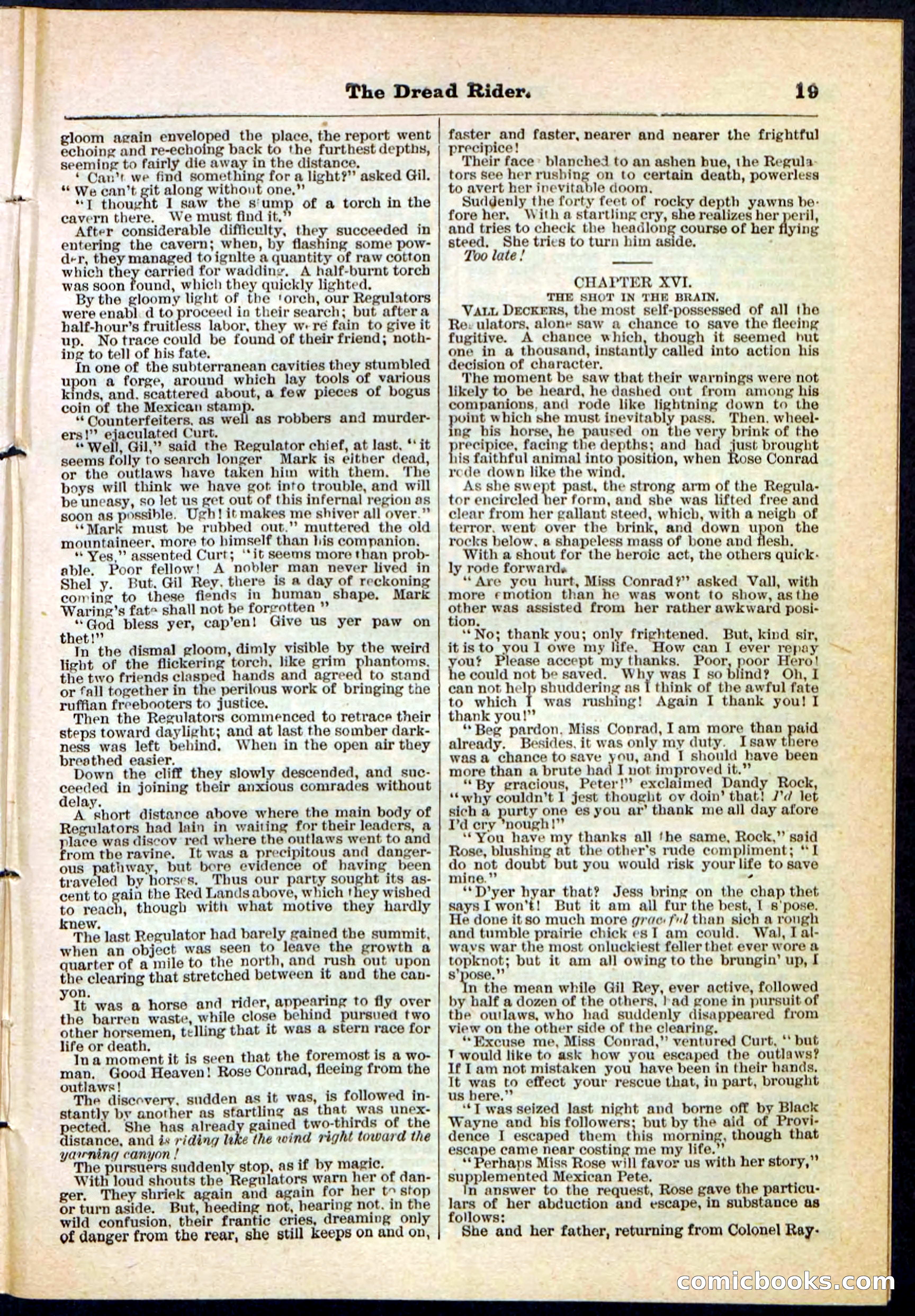 The Dread Rider; or, The Texan Duellist — page 19 of 32