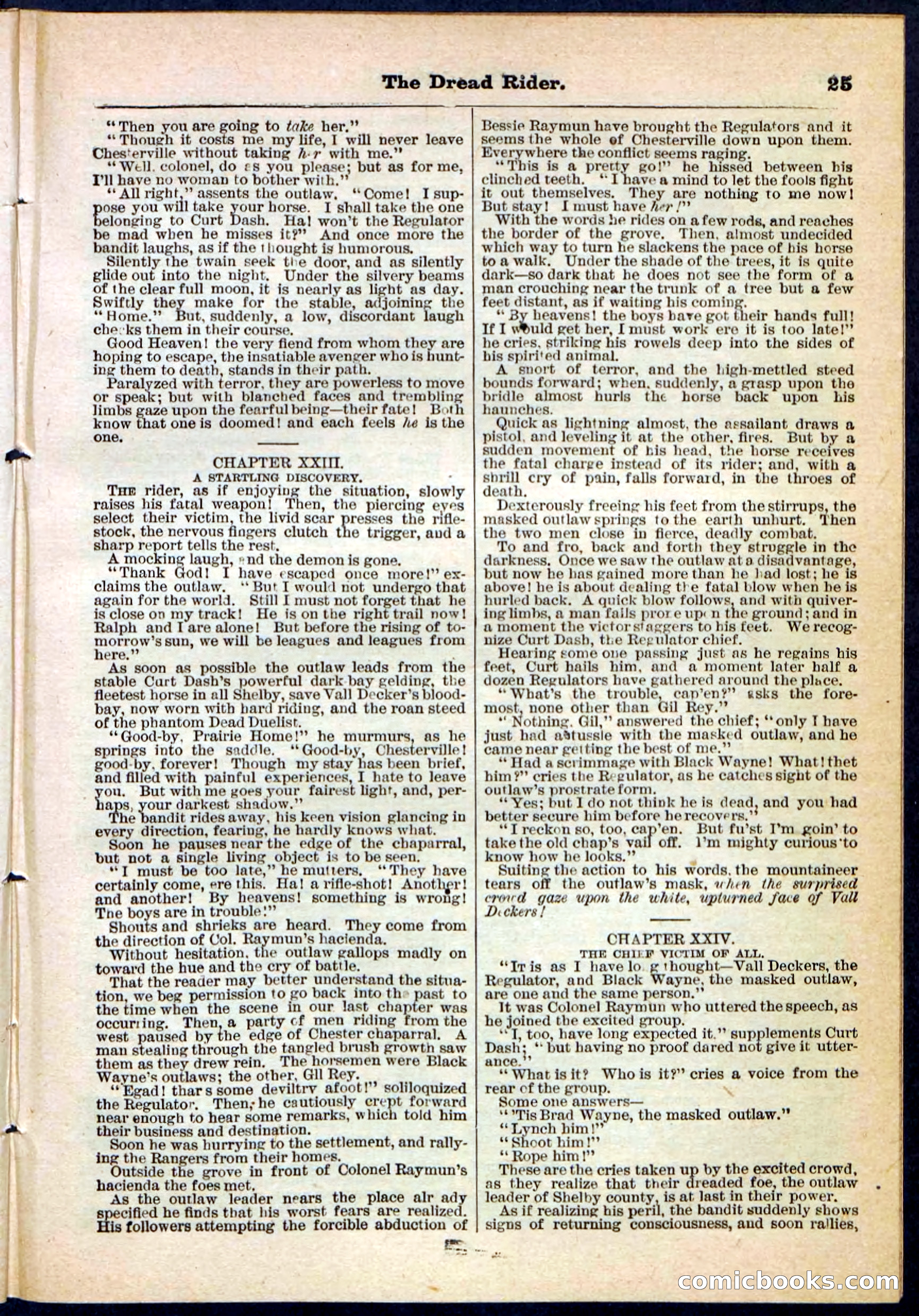 The Dread Rider; or, The Texan Duellist — page 25 of 32