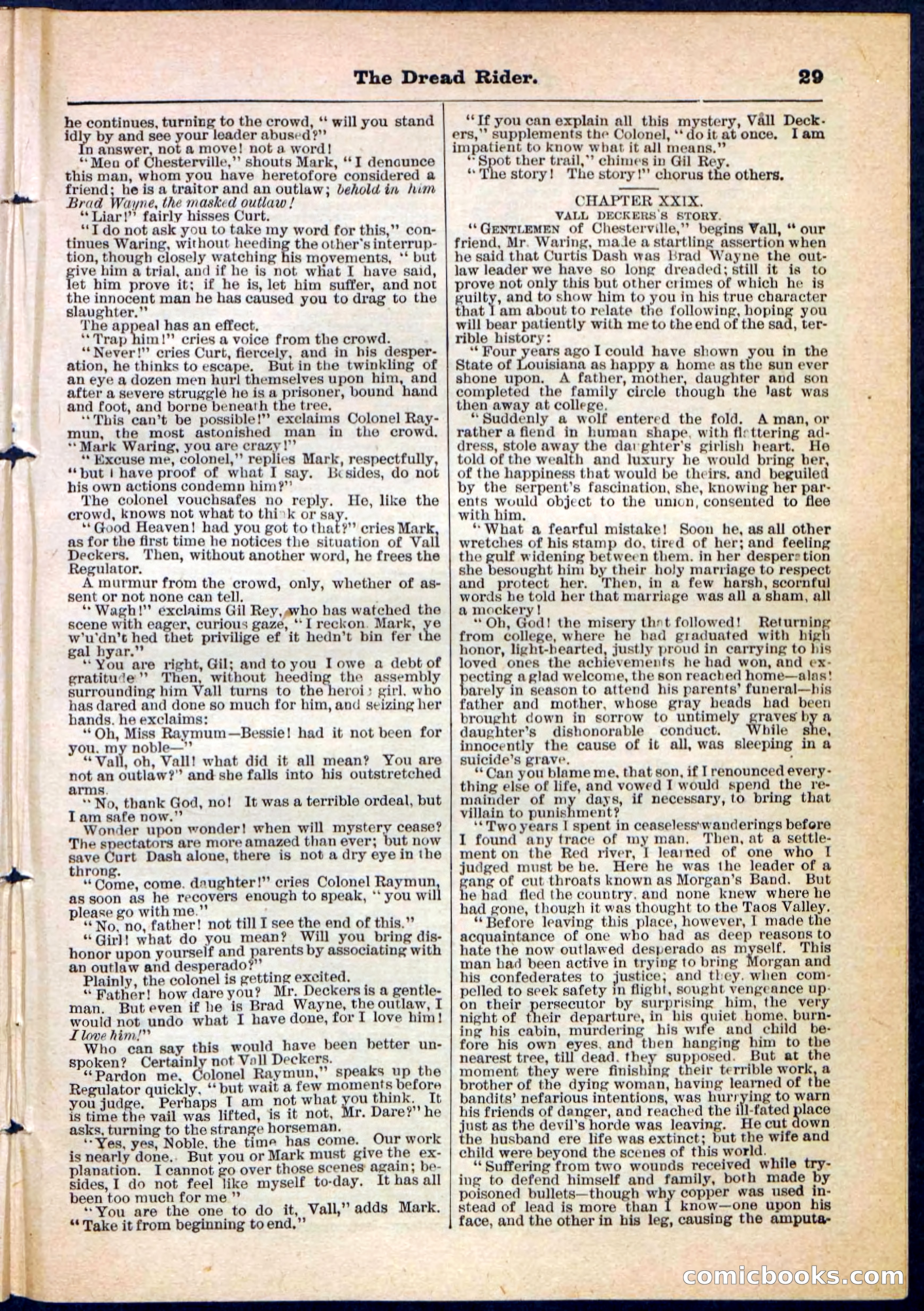 The Dread Rider; or, The Texan Duellist — page 29 of 32