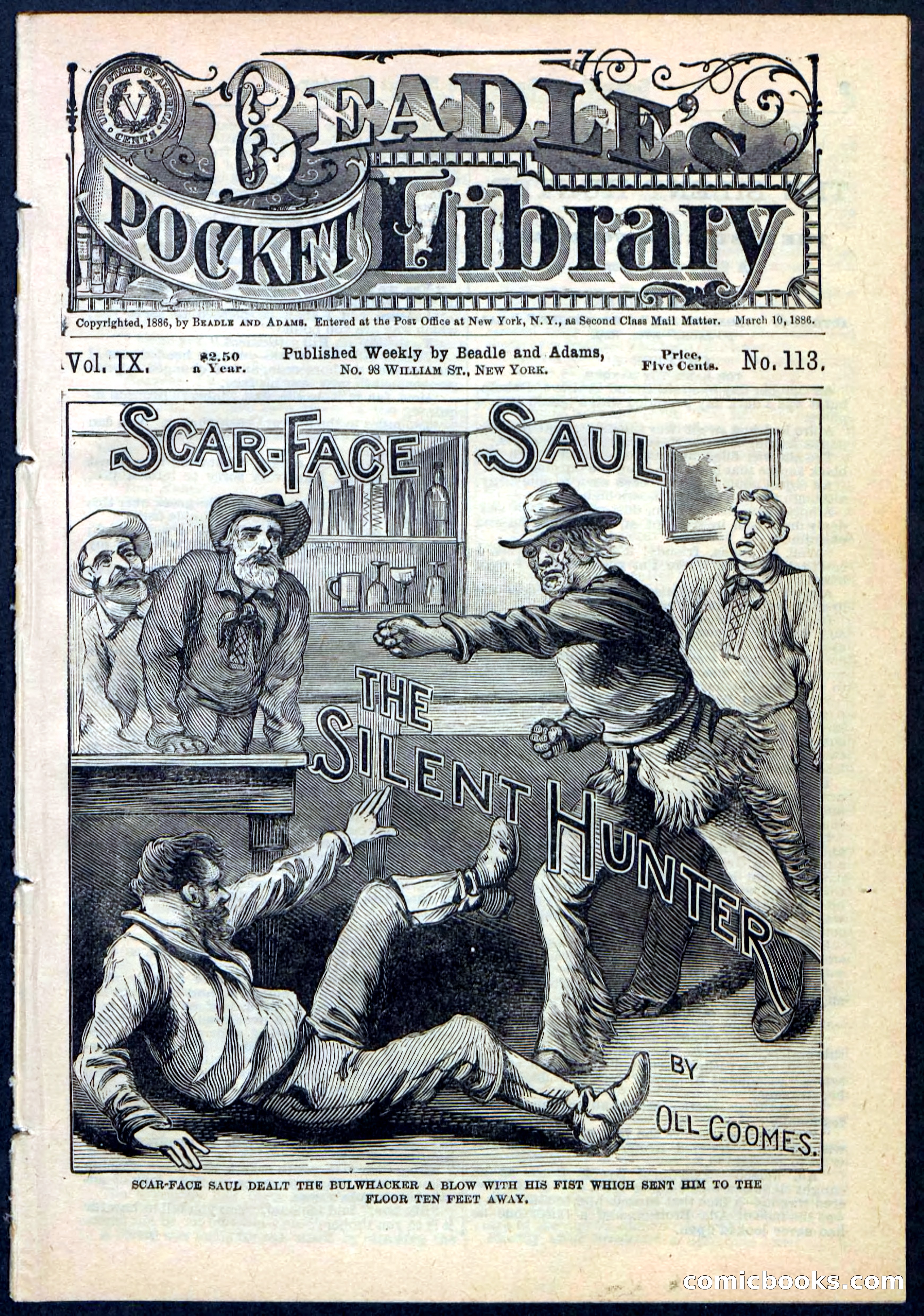 Beadle's Pocket Library No. 113