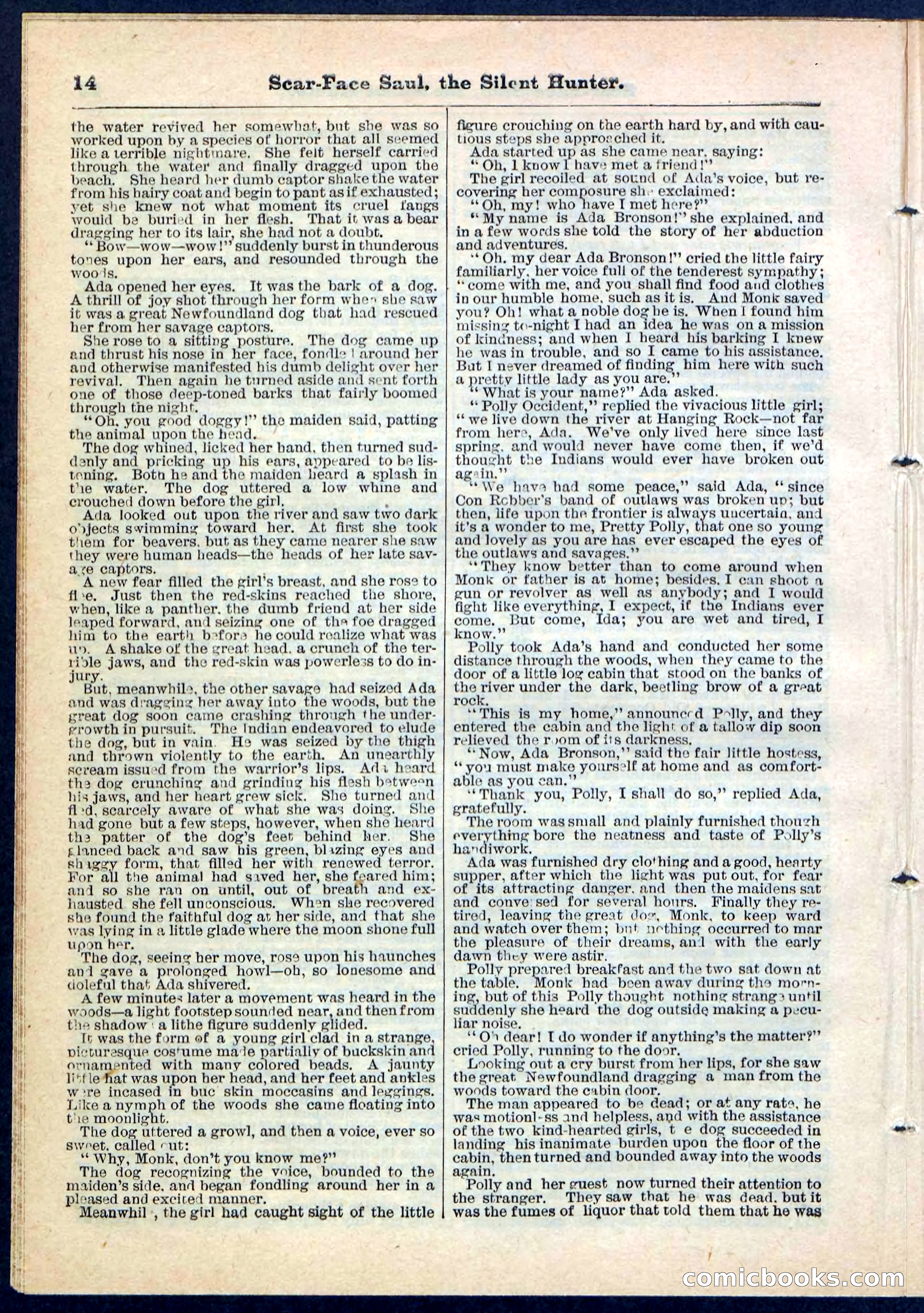 Beadle's Pocket Library No. 113 — page 14 of 32