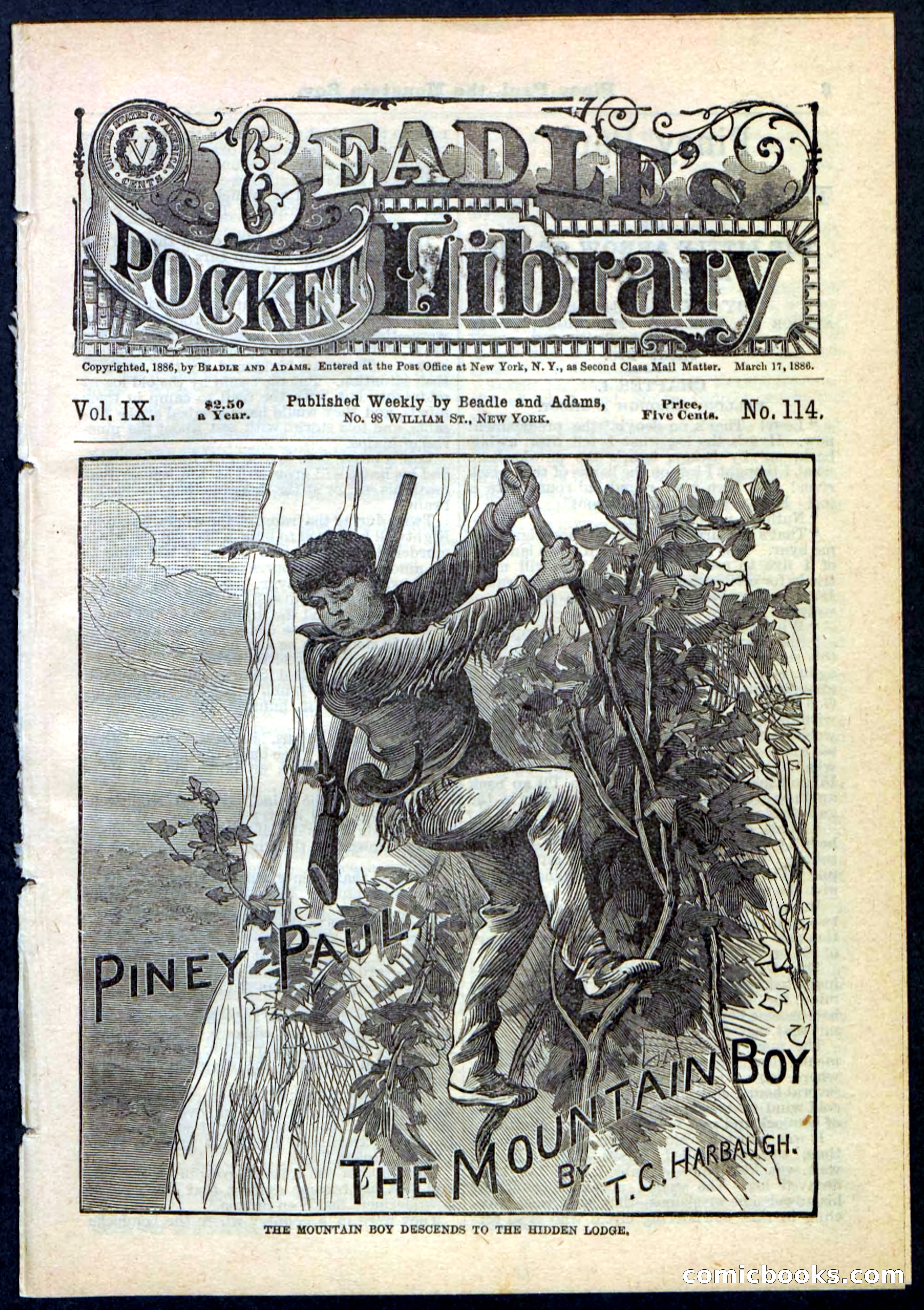 Beadle's Pocket Library No. 114