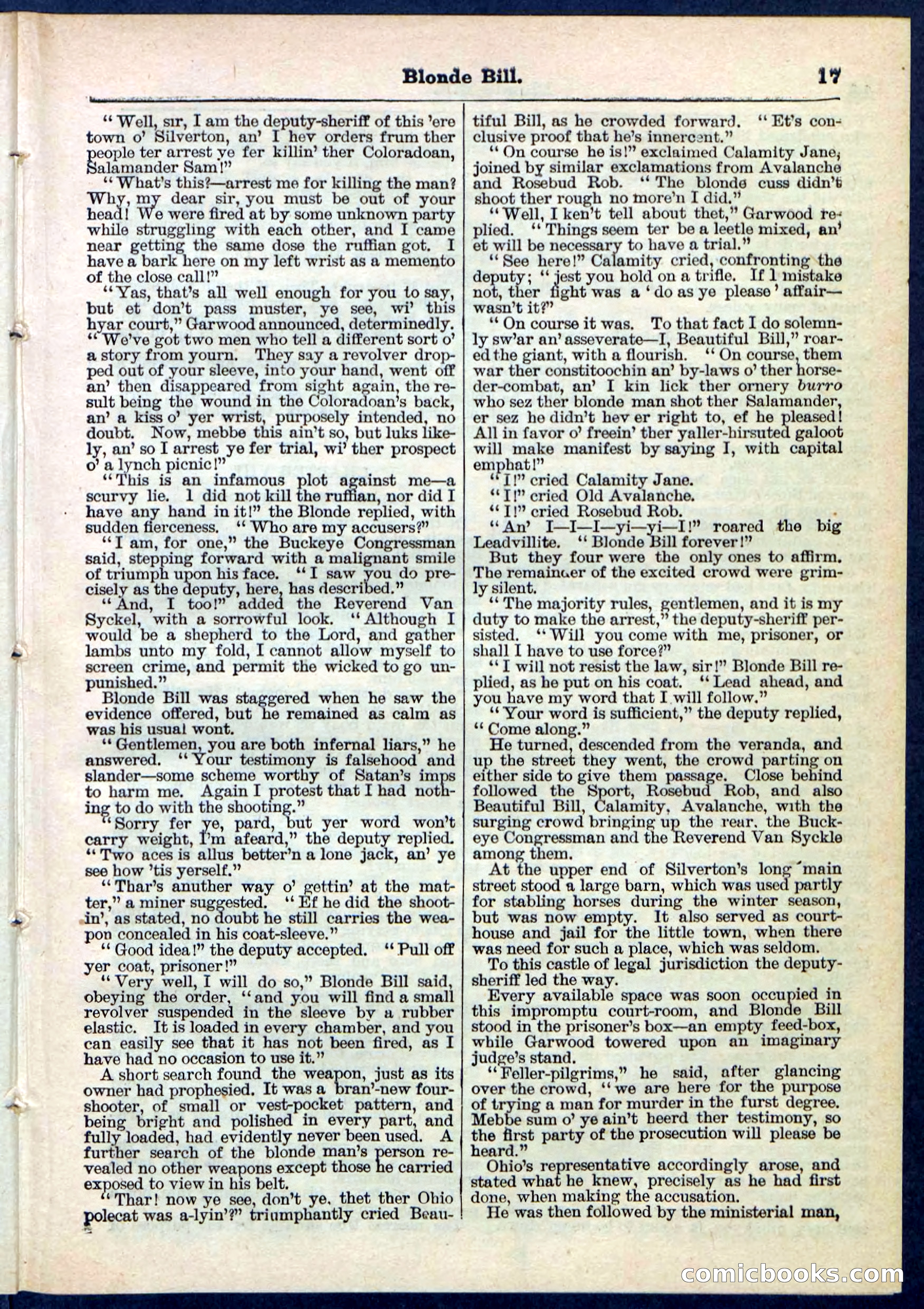 Blonde Bill, or Deadwood Dick's Home Base — page 17 of 32