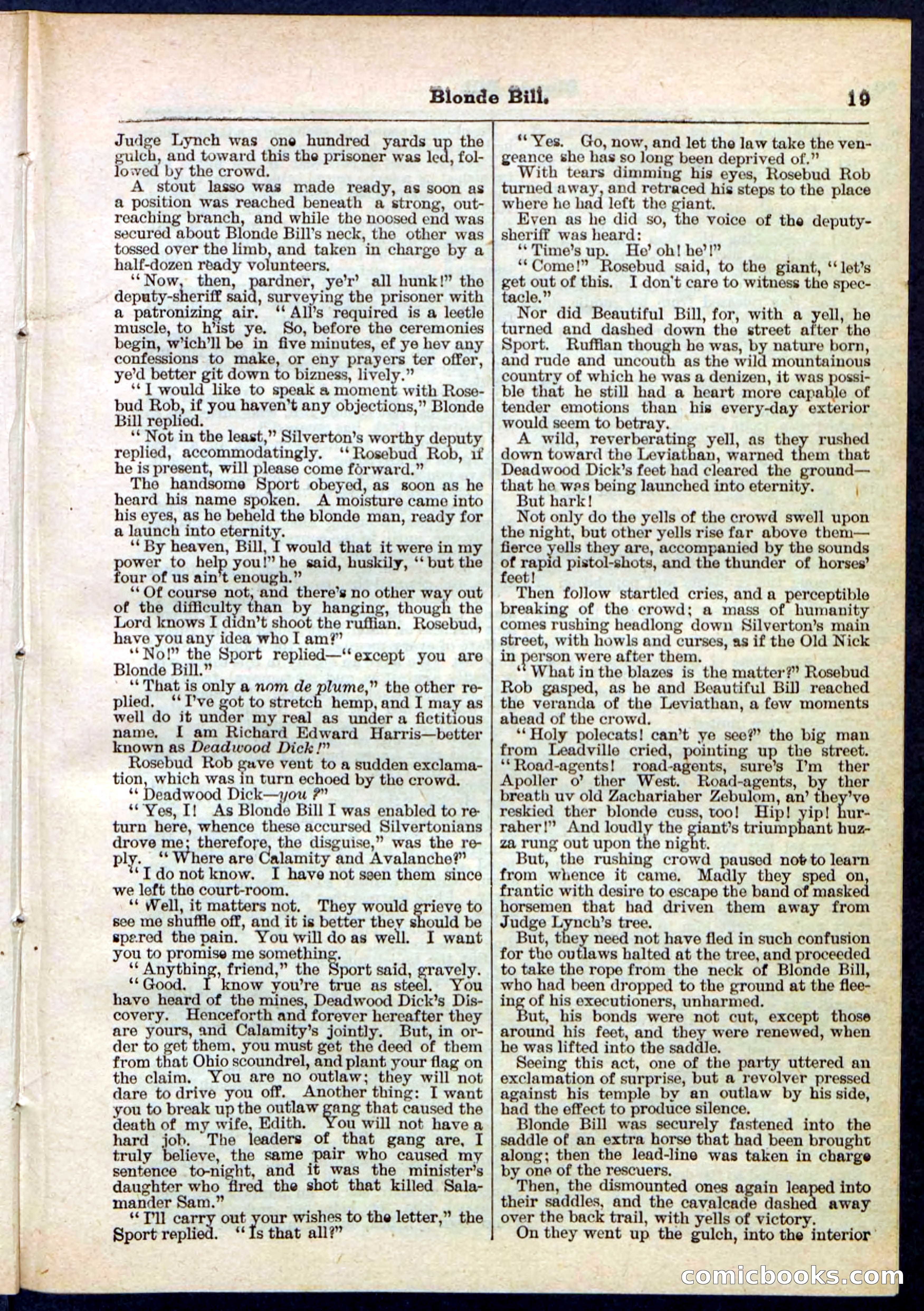 Blonde Bill, or Deadwood Dick's Home Base — page 19 of 32