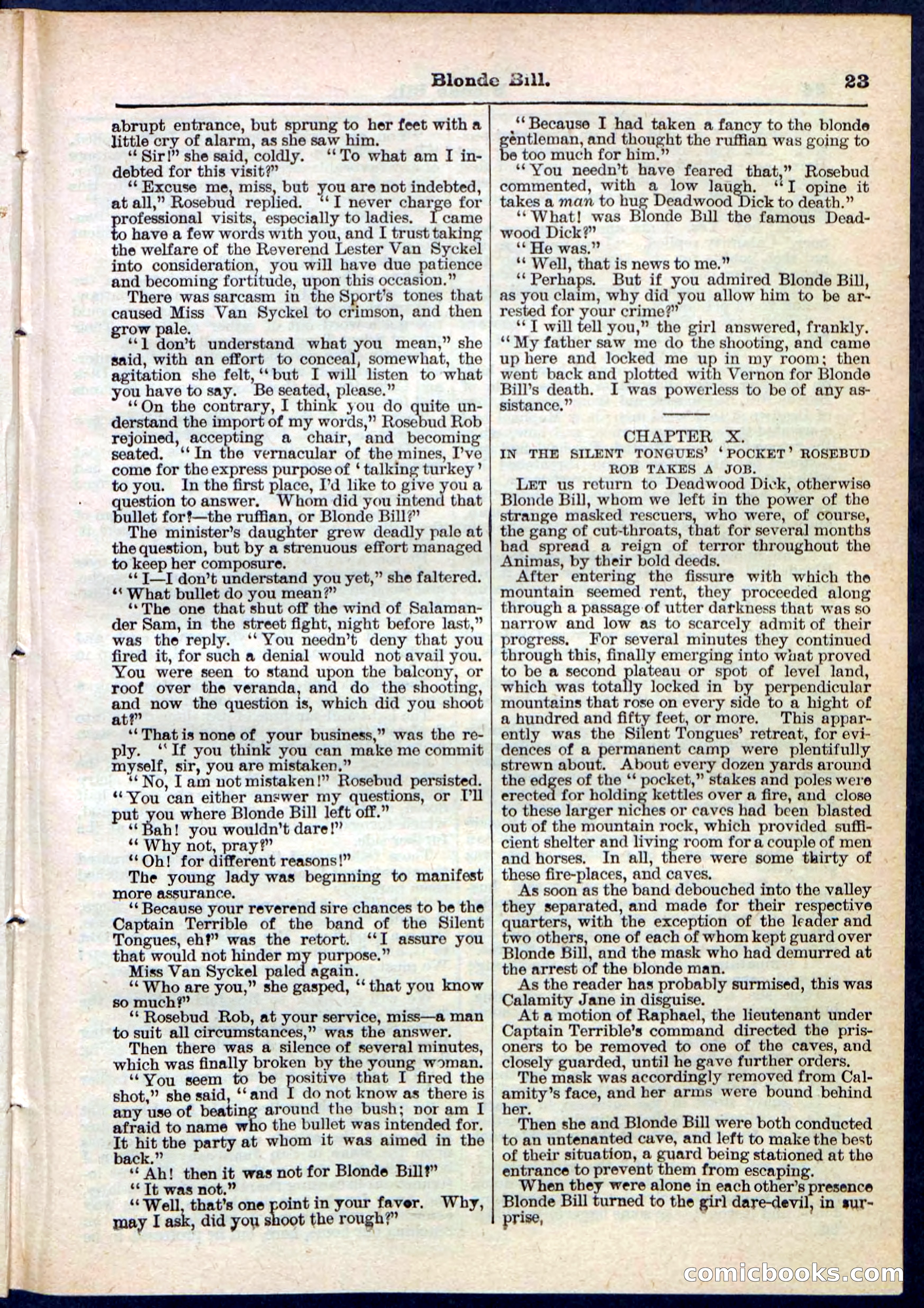 Blonde Bill, or Deadwood Dick's Home Base — page 23 of 32