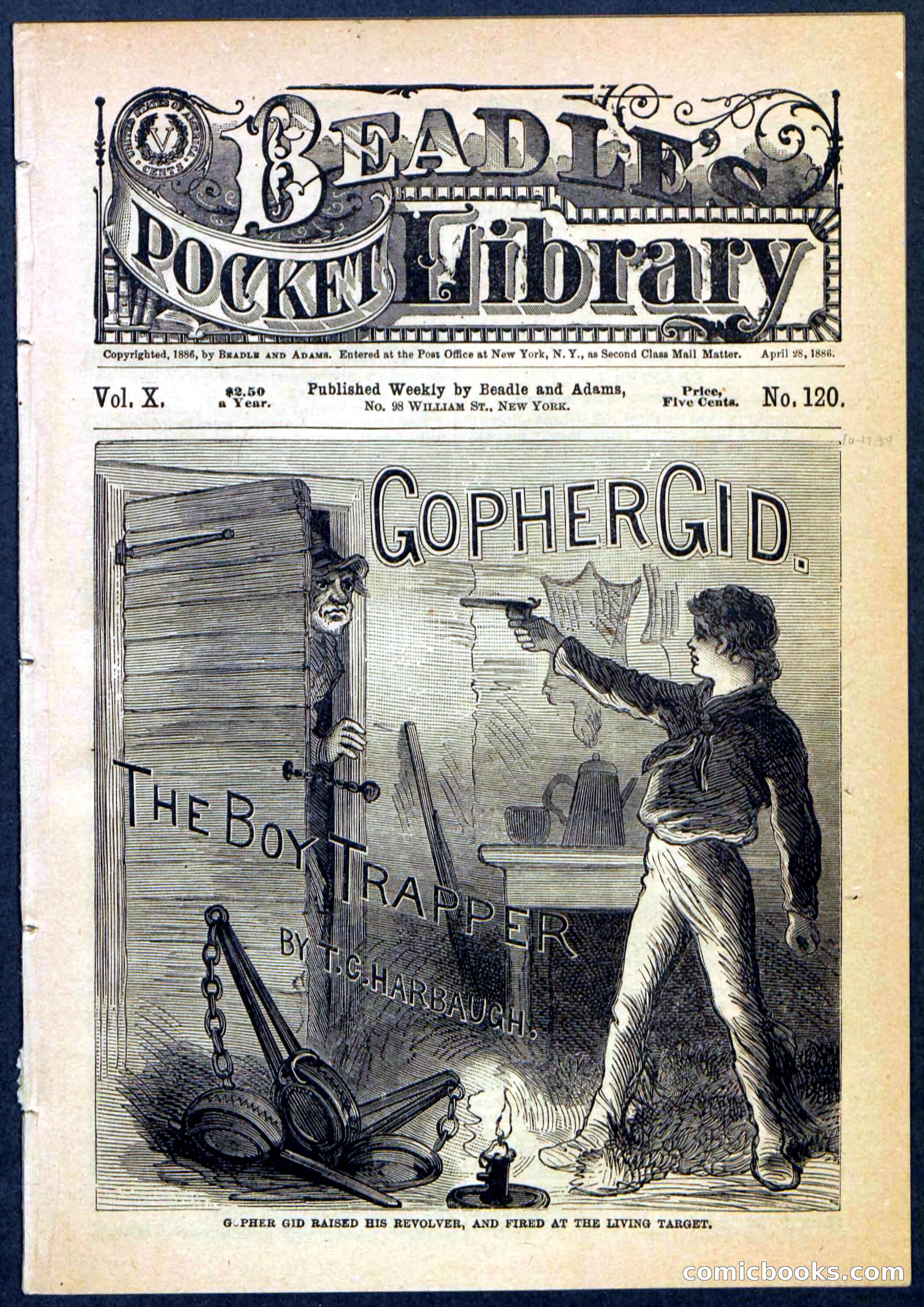 Beadle's Pocket Library No. 120