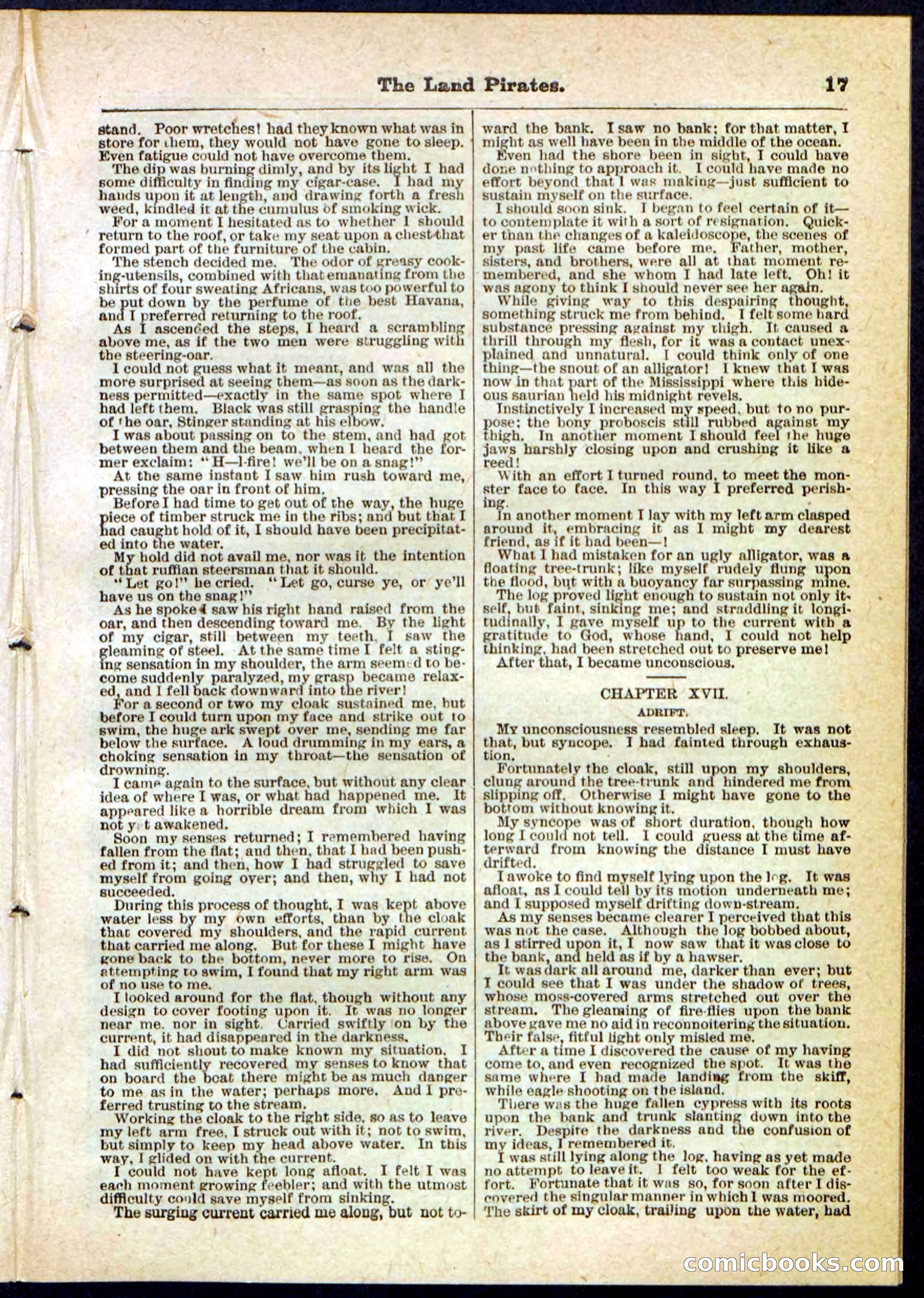 The Land Pirates or The League of Devil's Island — page 17 of 32