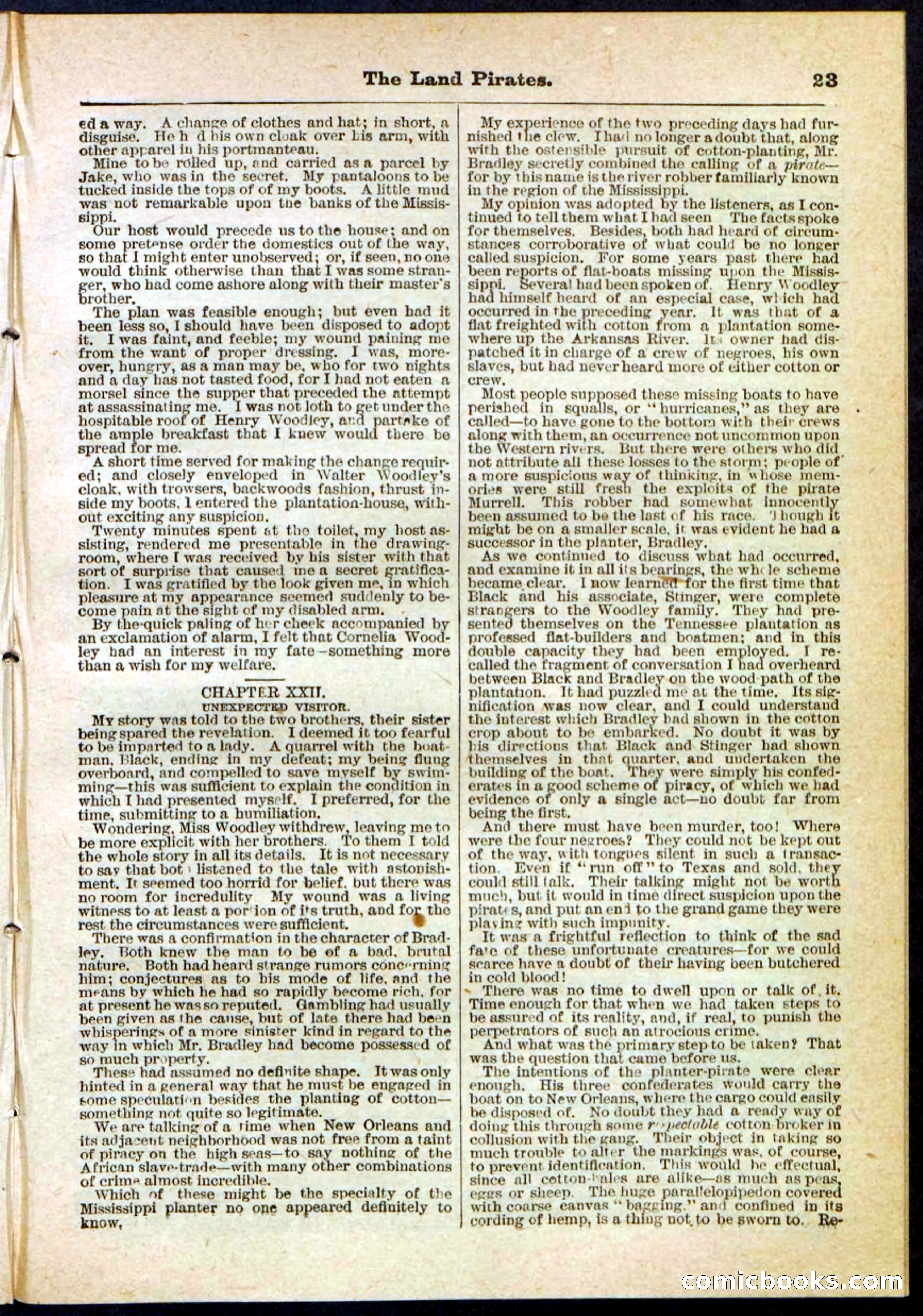 The Land Pirates or The League of Devil's Island — page 23 of 32