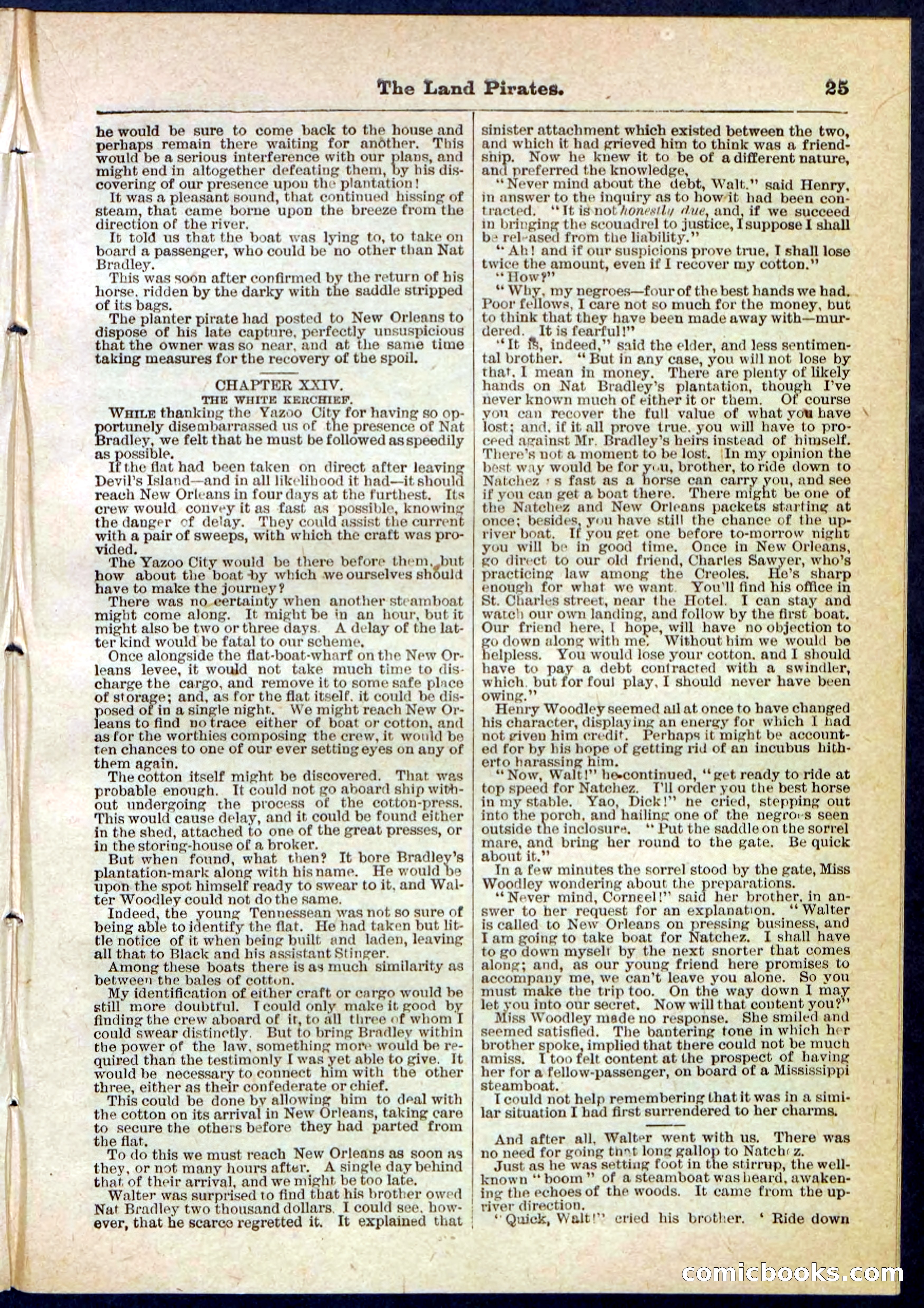 The Land Pirates or The League of Devil's Island — page 25 of 32