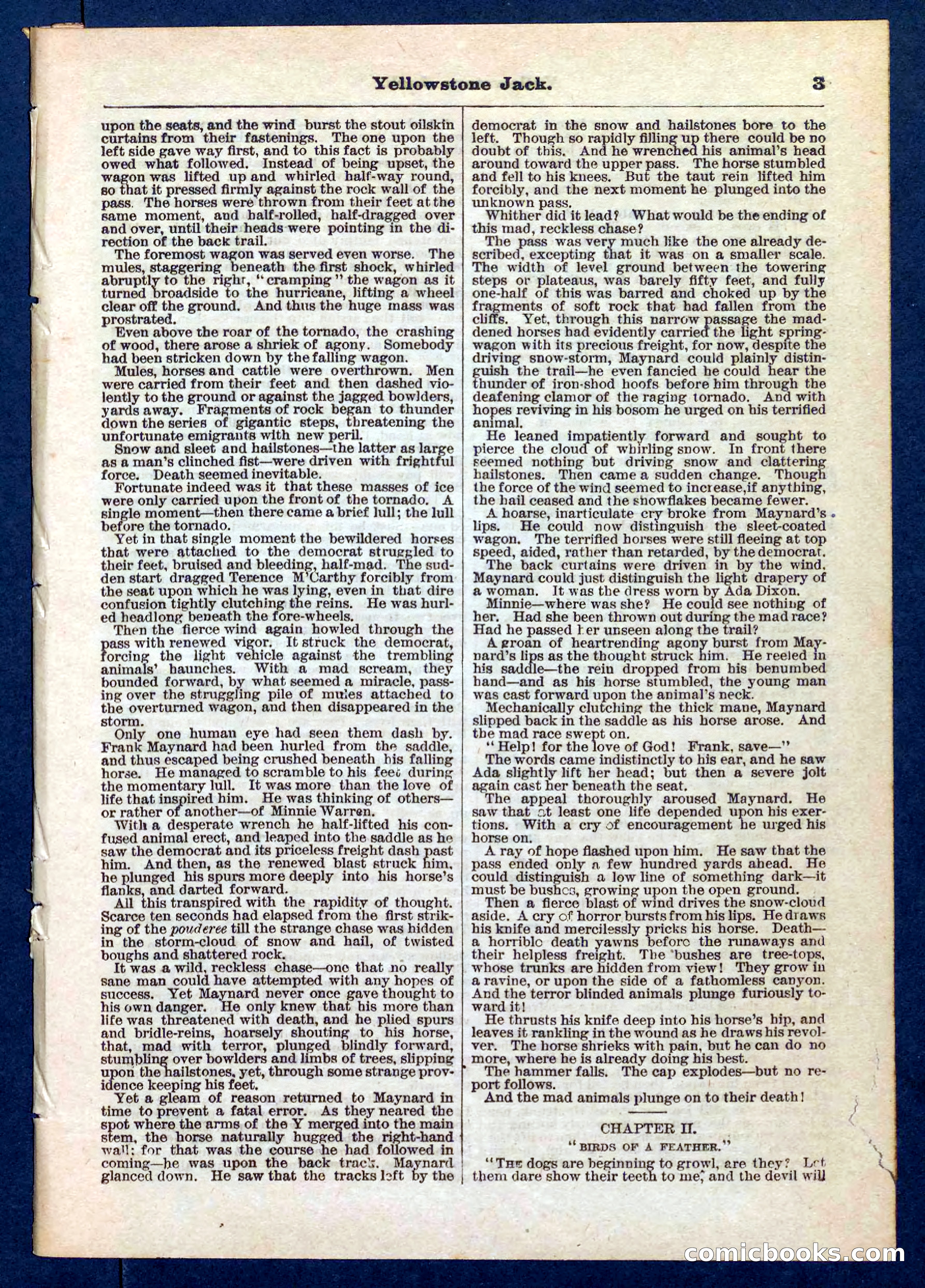 Yellowstone Jack; or, Trappers of the Enchanted Ground — page 3 of 32