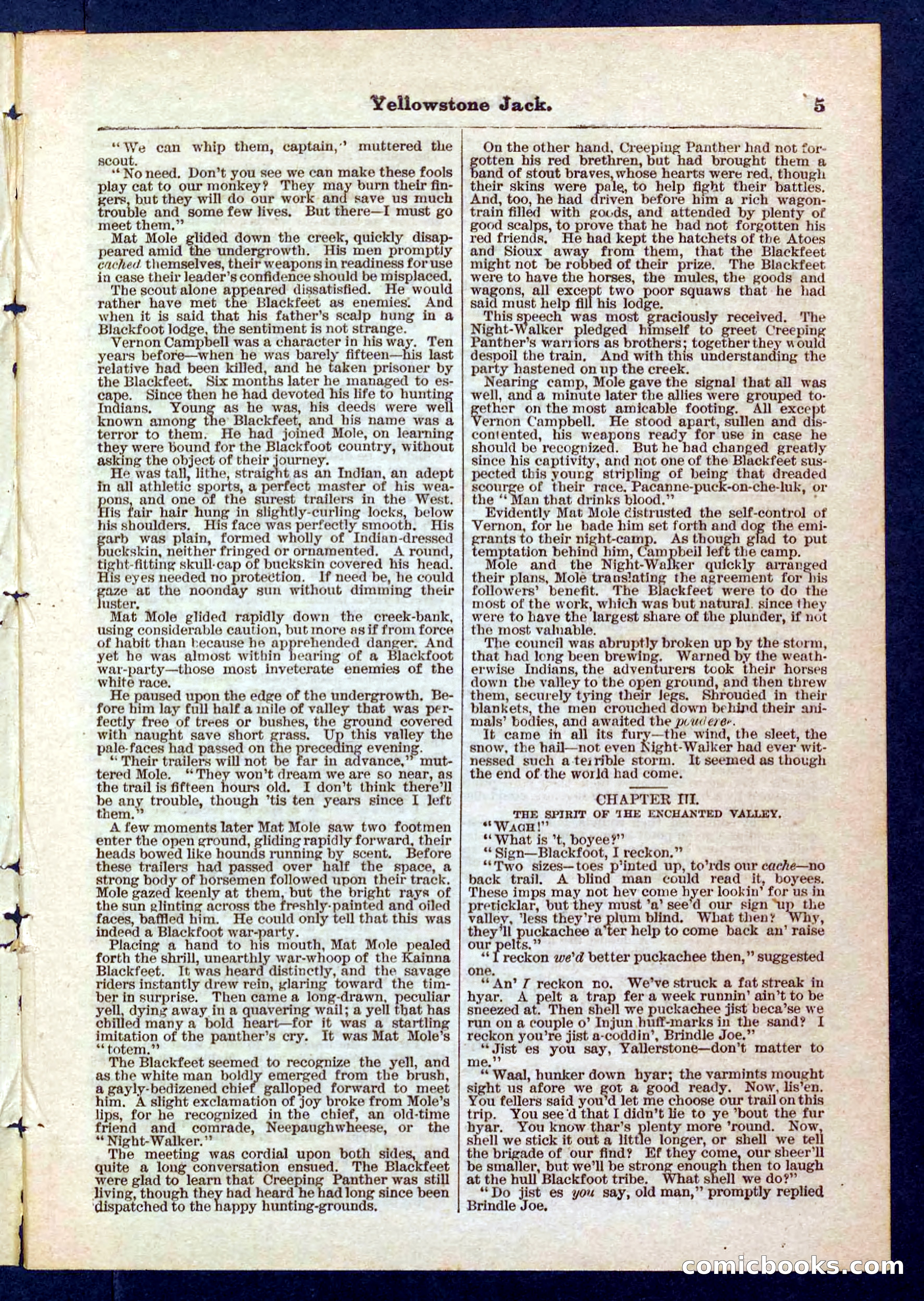 Yellowstone Jack; or, Trappers of the Enchanted Ground — page 5 of 32