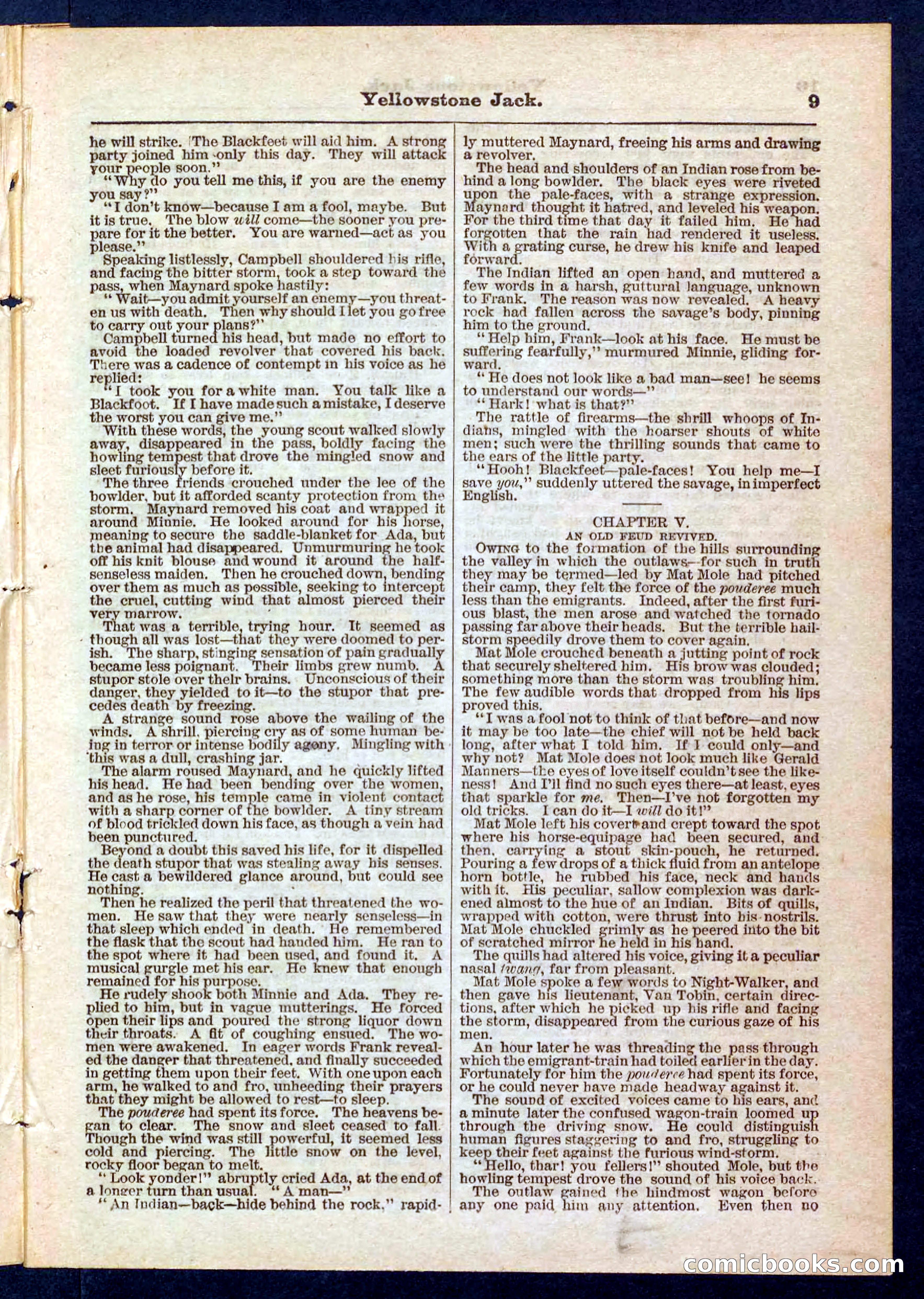 Yellowstone Jack; or, Trappers of the Enchanted Ground — page 9 of 32