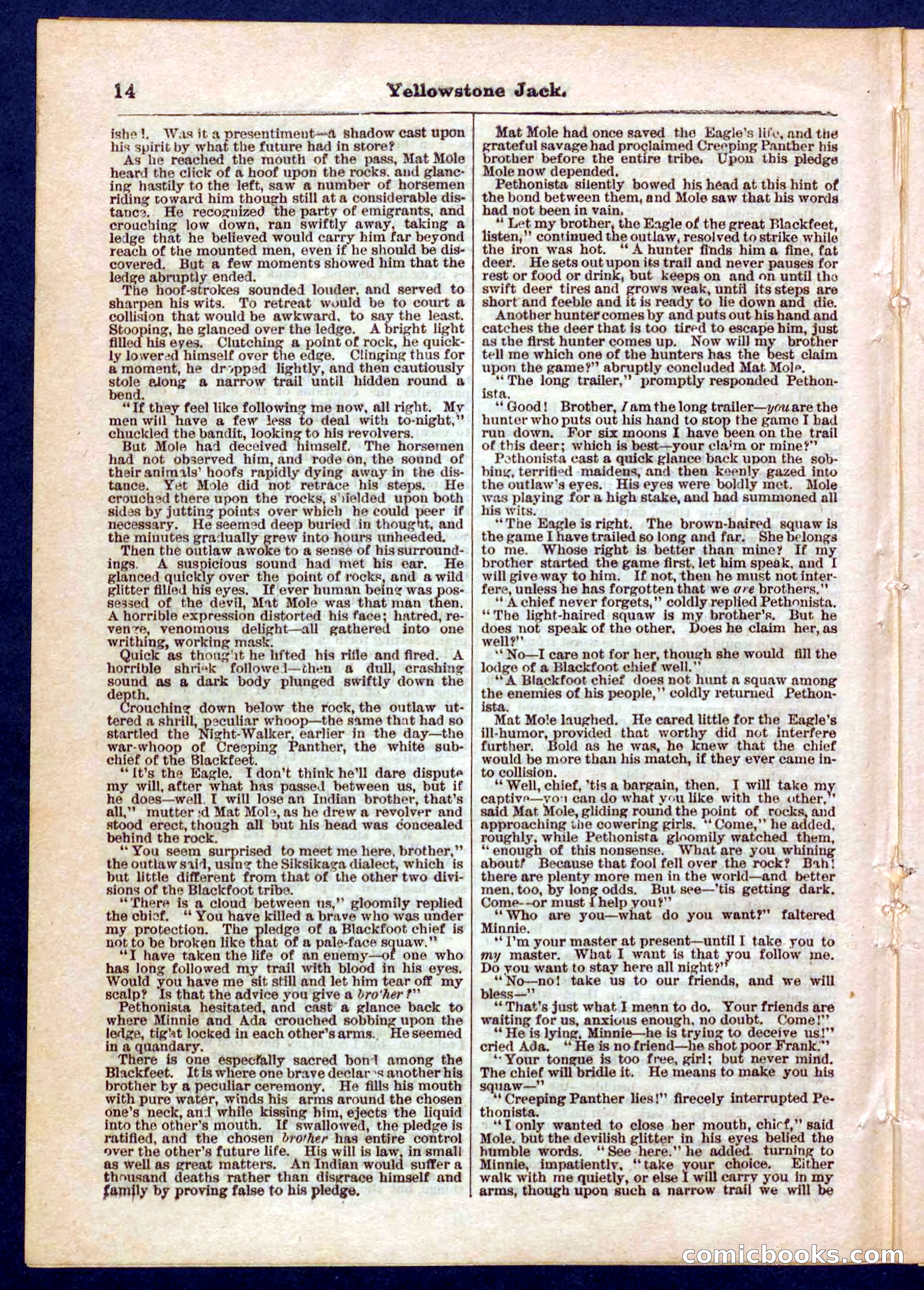 Yellowstone Jack; or, Trappers of the Enchanted Ground — page 14 of 32