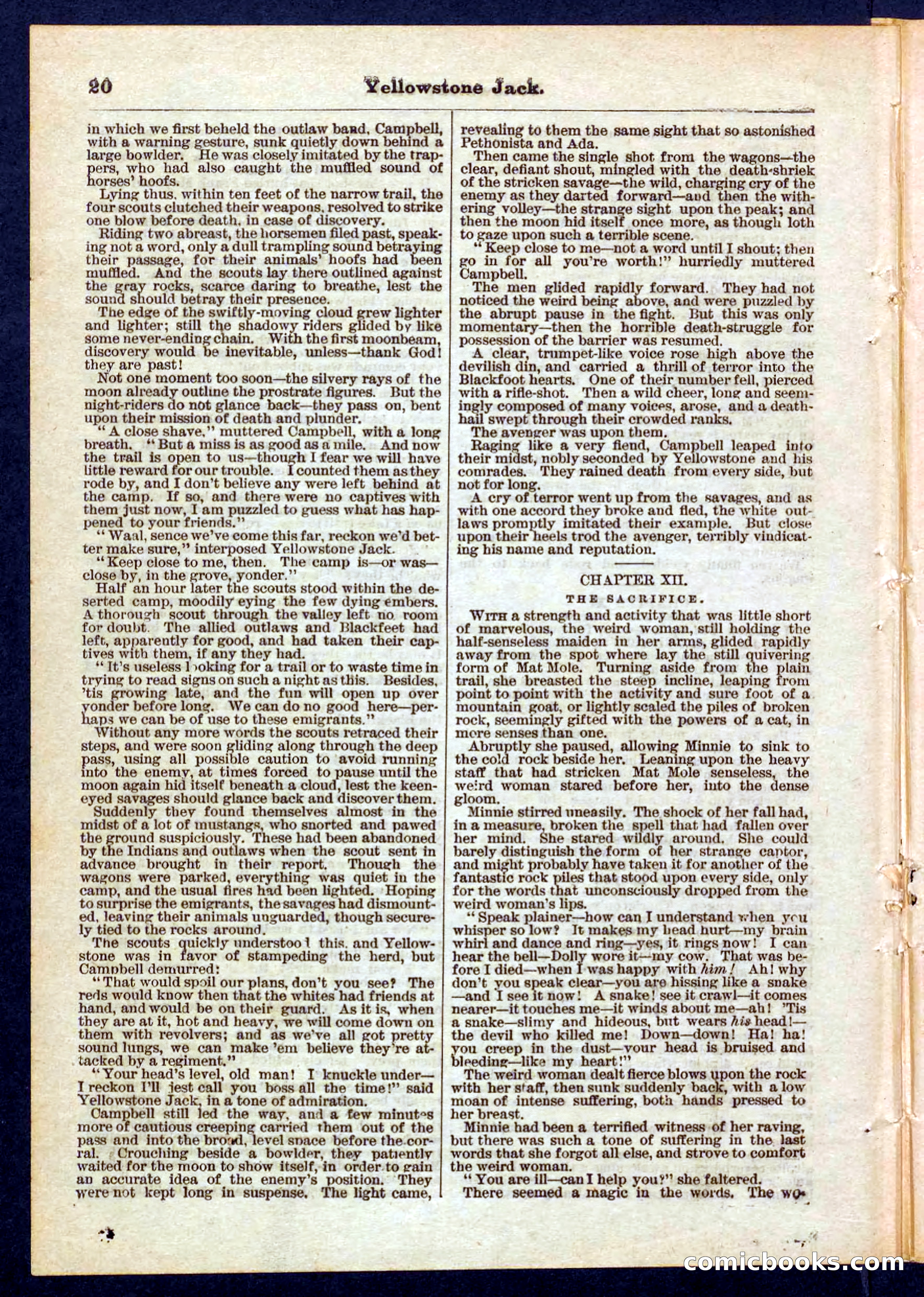 Yellowstone Jack; or, Trappers of the Enchanted Ground — page 20 of 32