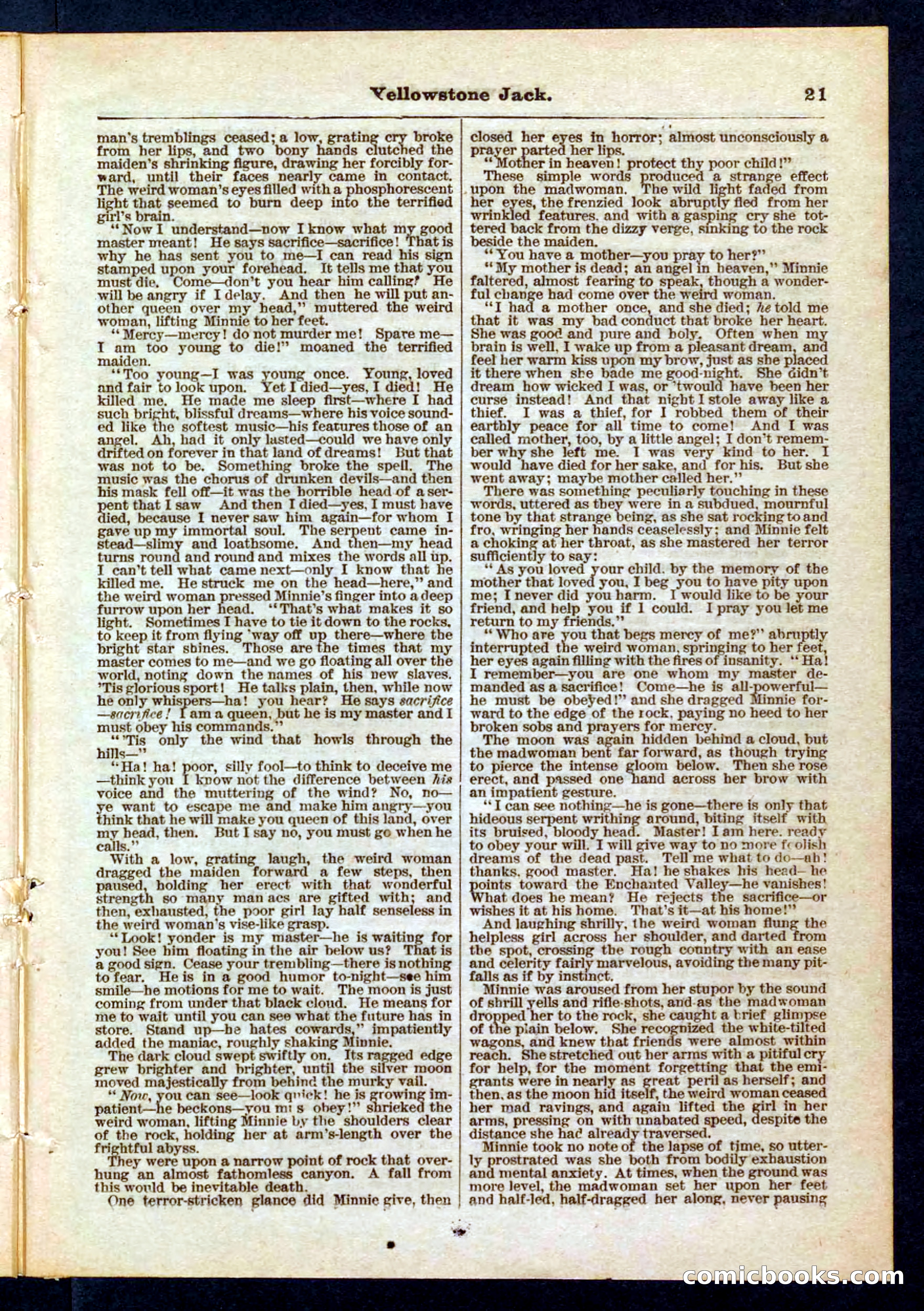 Yellowstone Jack; or, Trappers of the Enchanted Ground — page 21 of 32