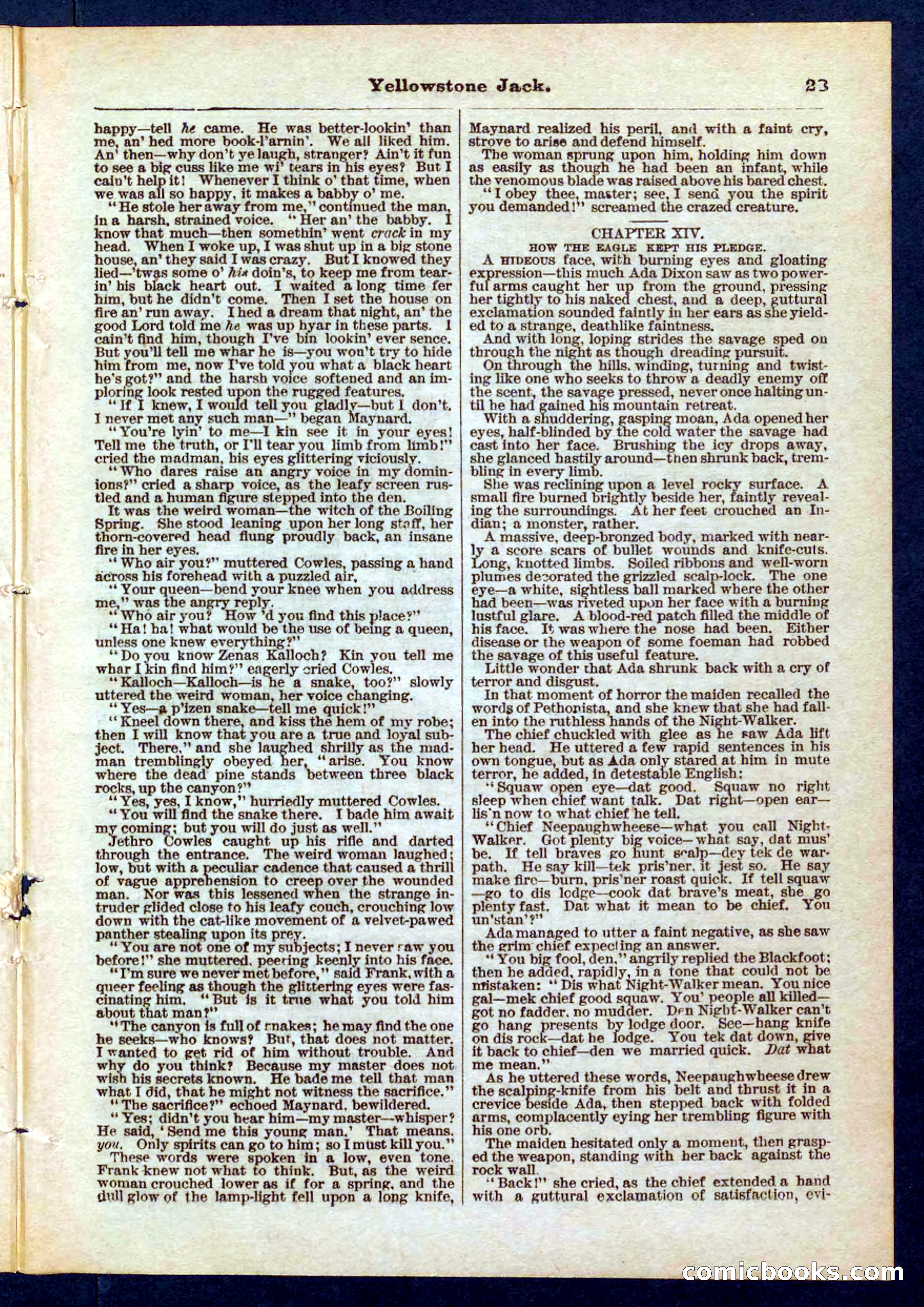 Yellowstone Jack; or, Trappers of the Enchanted Ground — page 23 of 32