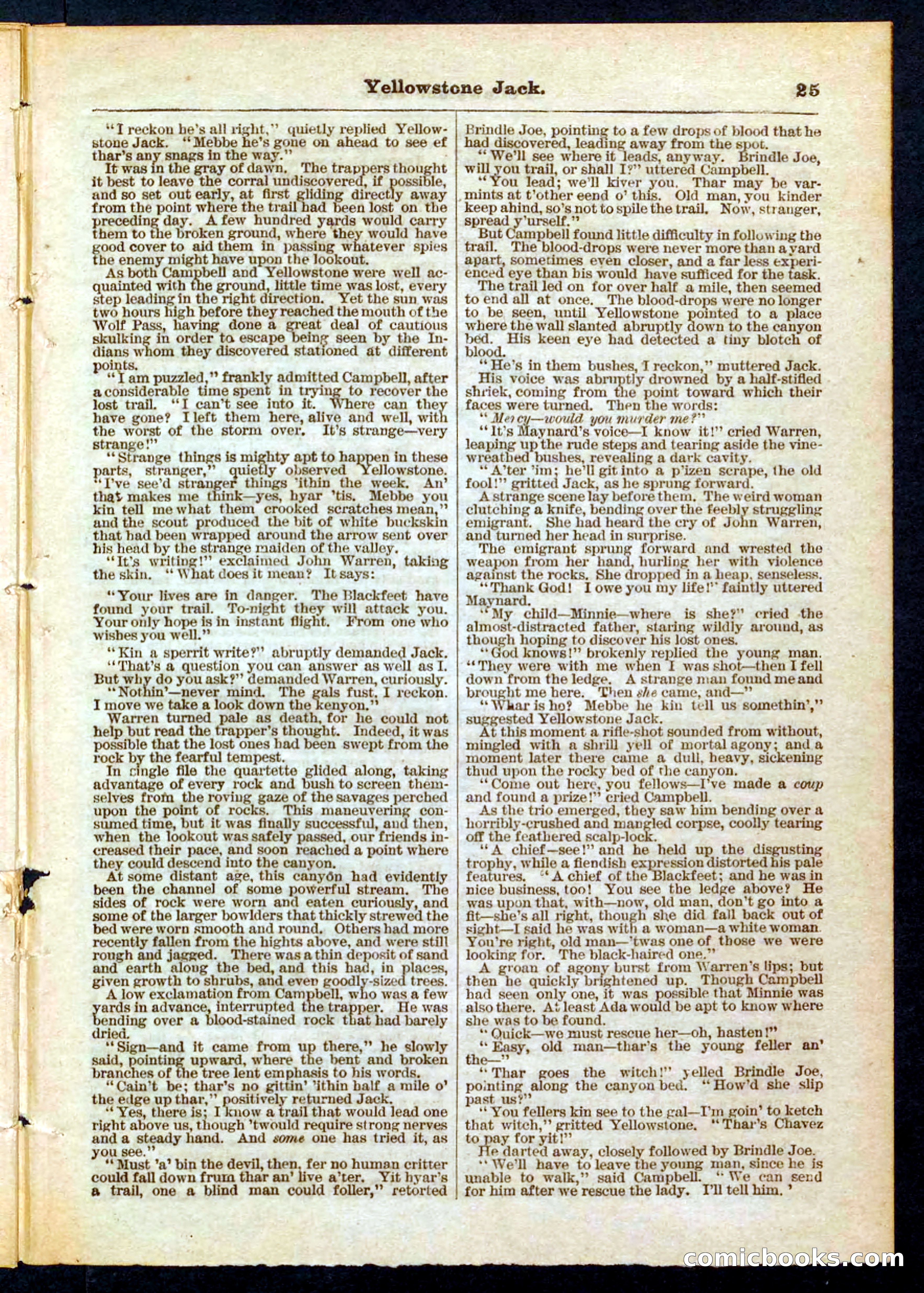 Yellowstone Jack; or, Trappers of the Enchanted Ground — page 25 of 32