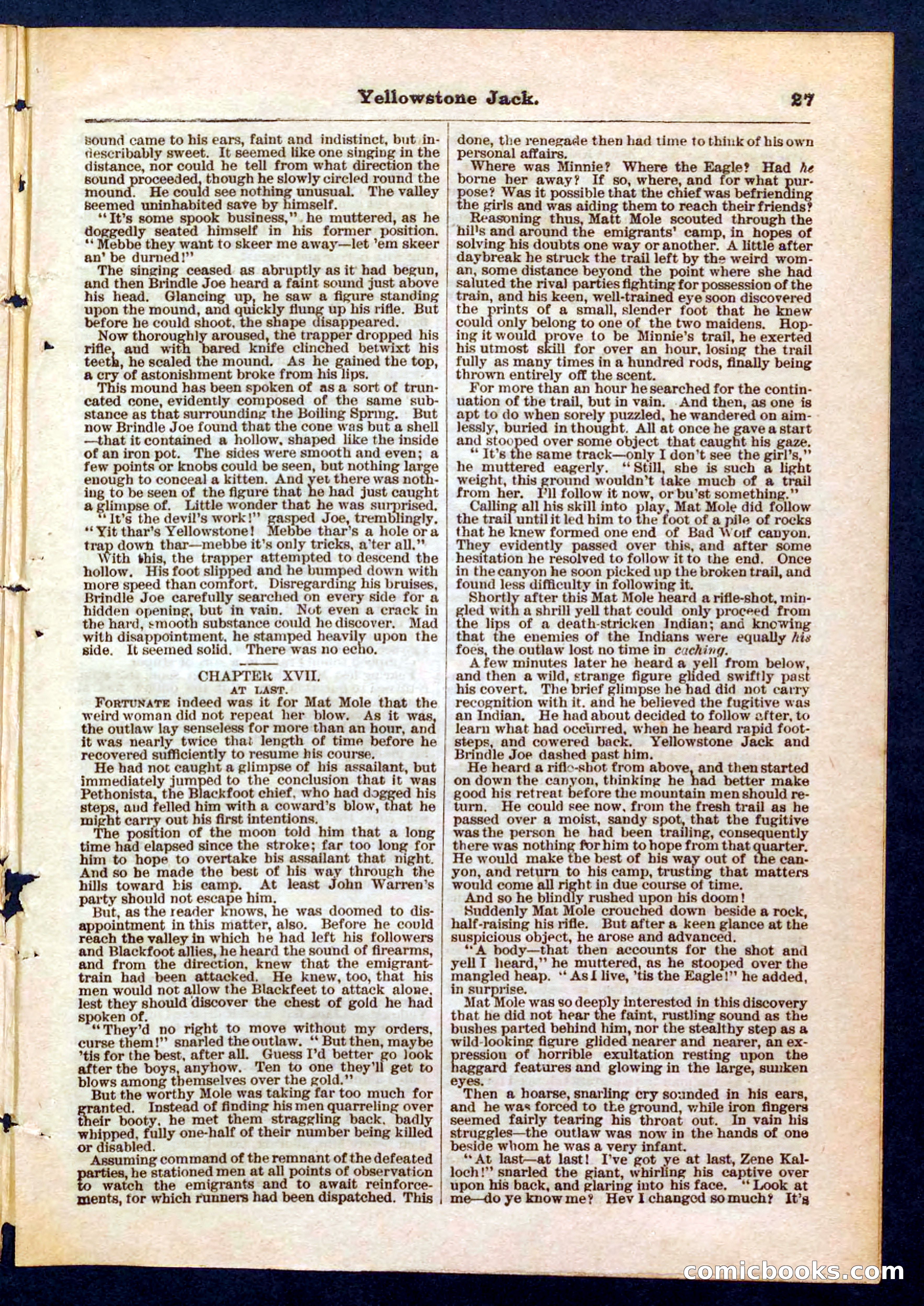 Yellowstone Jack; or, Trappers of the Enchanted Ground — page 27 of 32
