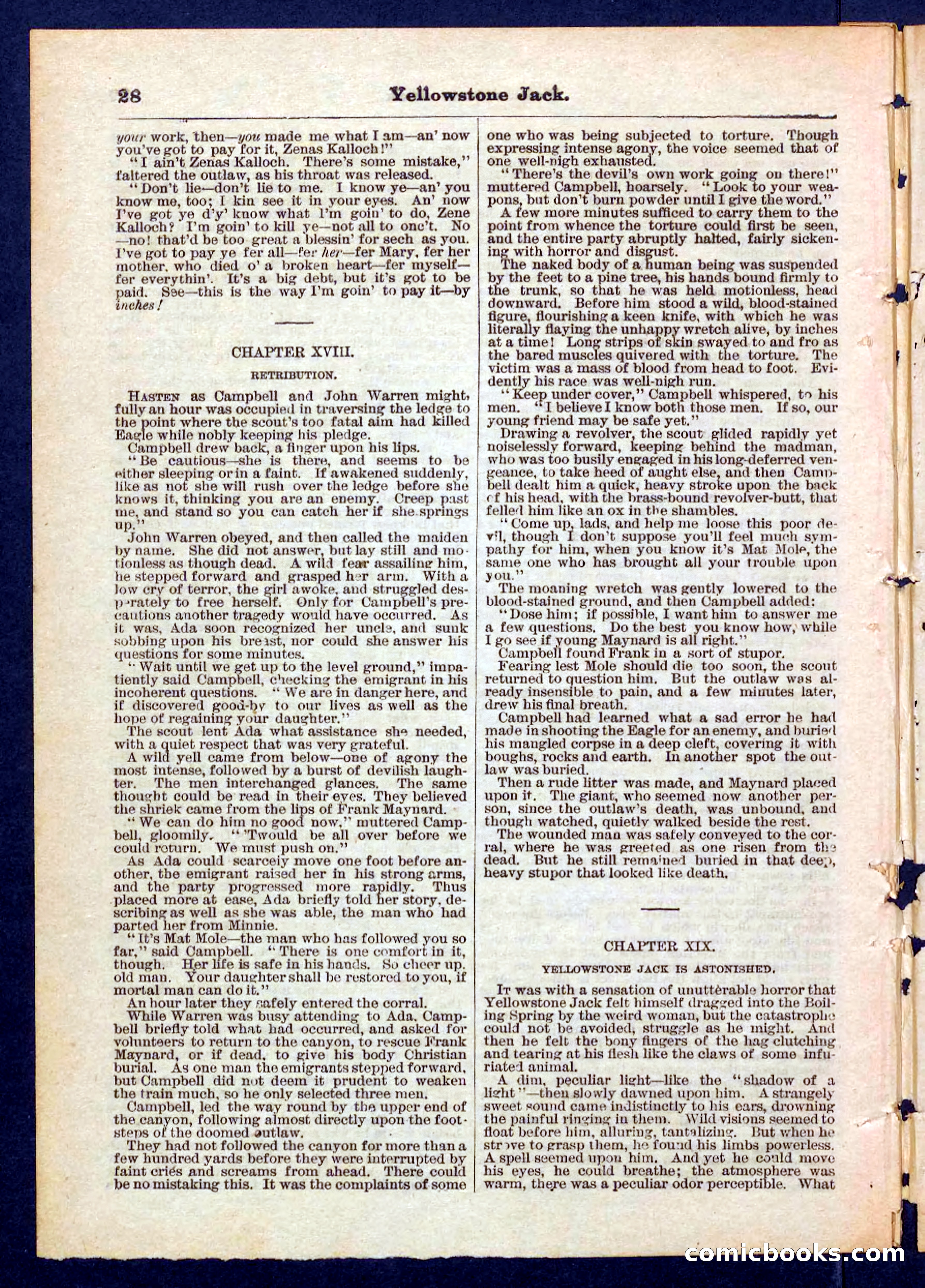 Yellowstone Jack; or, Trappers of the Enchanted Ground — page 28 of 32