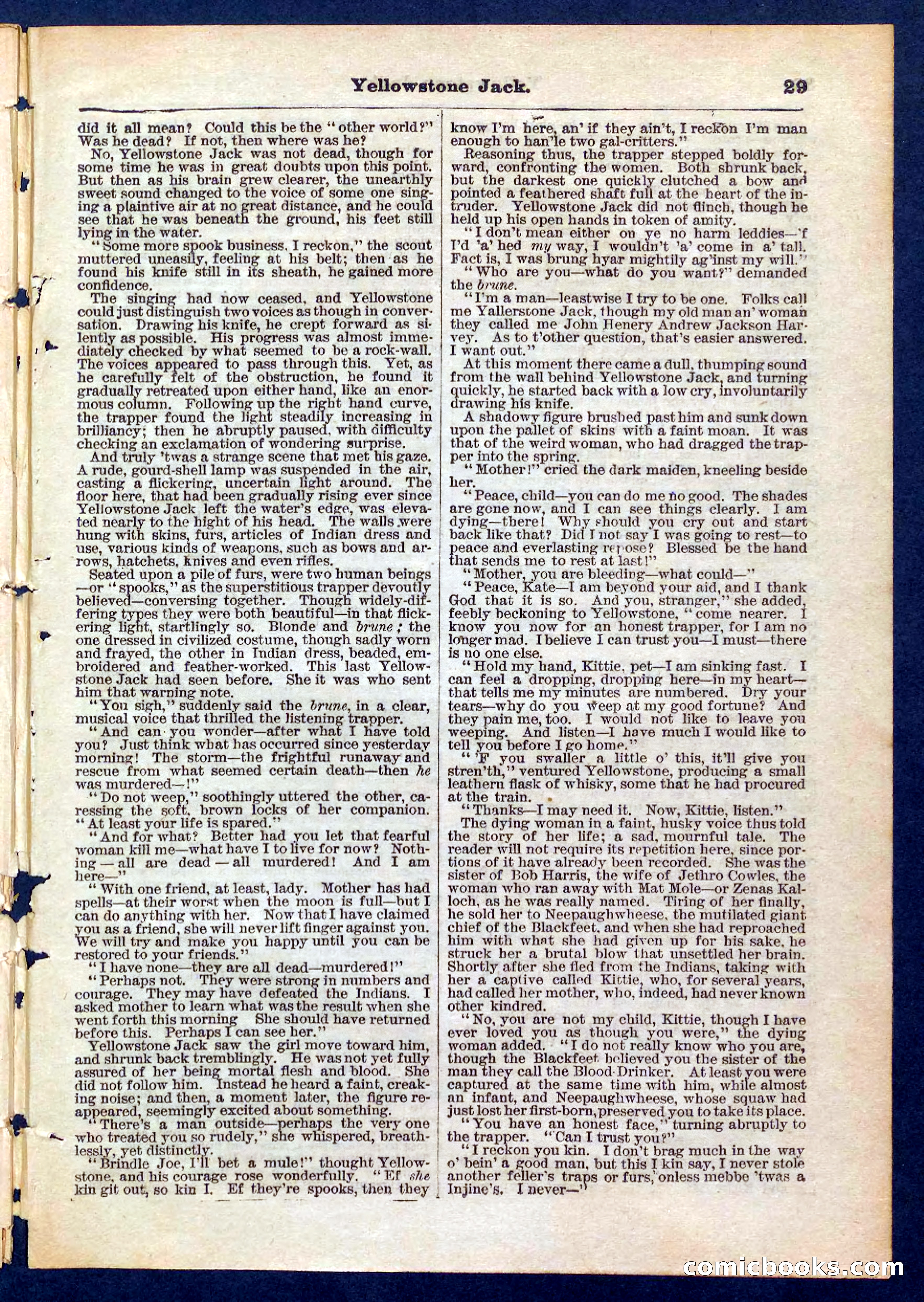Yellowstone Jack; or, Trappers of the Enchanted Ground — page 29 of 32