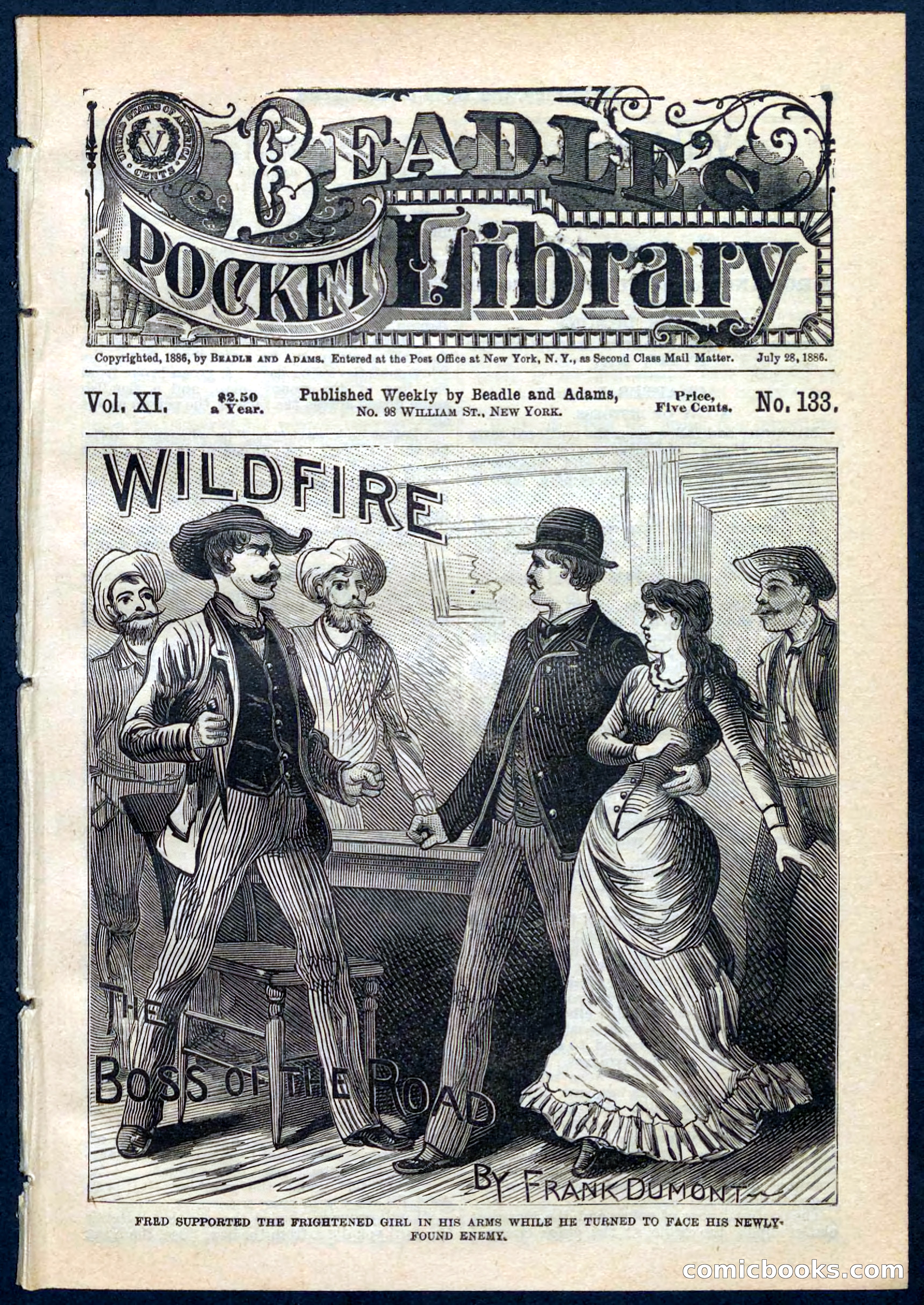 Beadle's Pocket Library No. 133