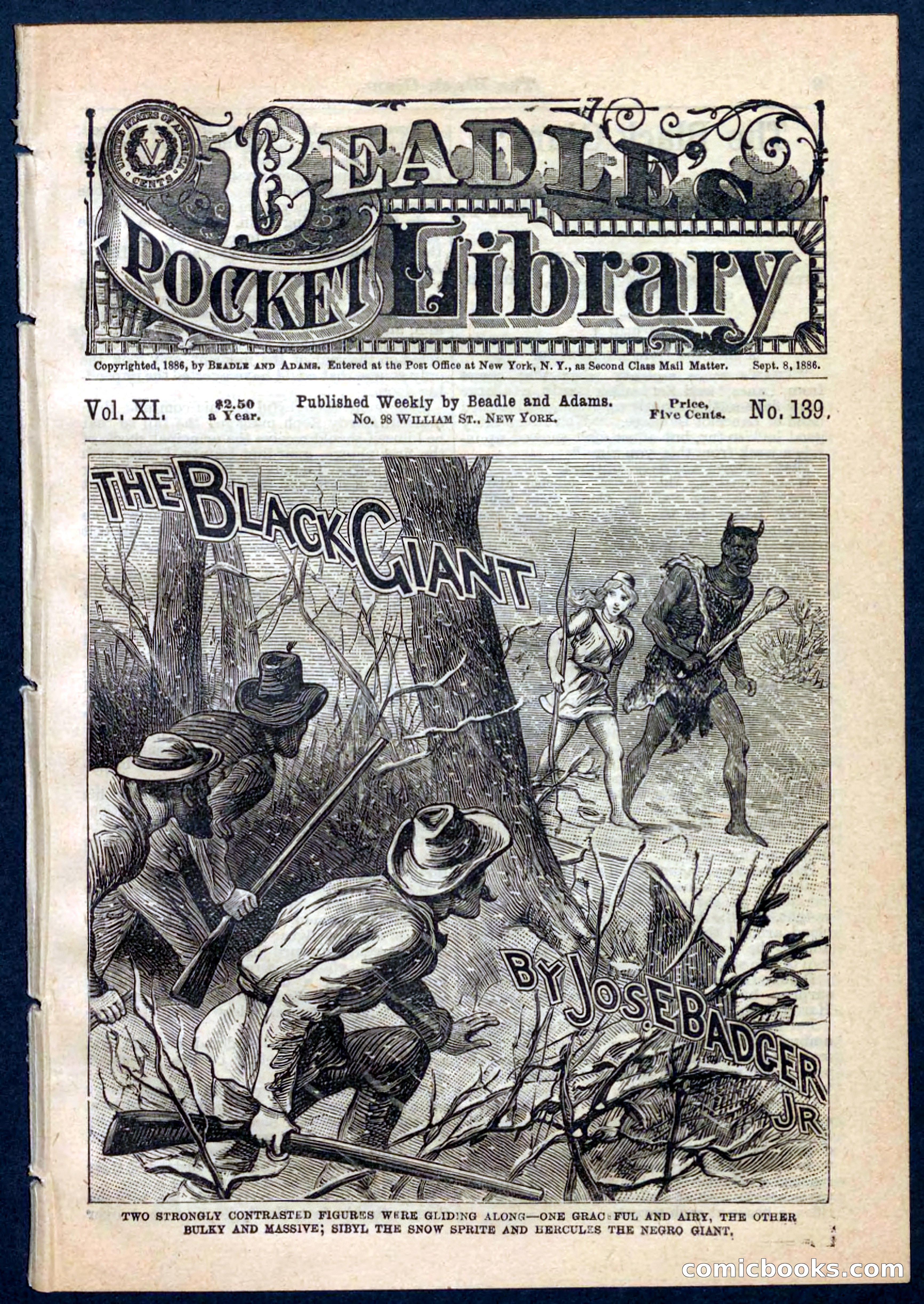 Beadle's Pocket Library No. 139