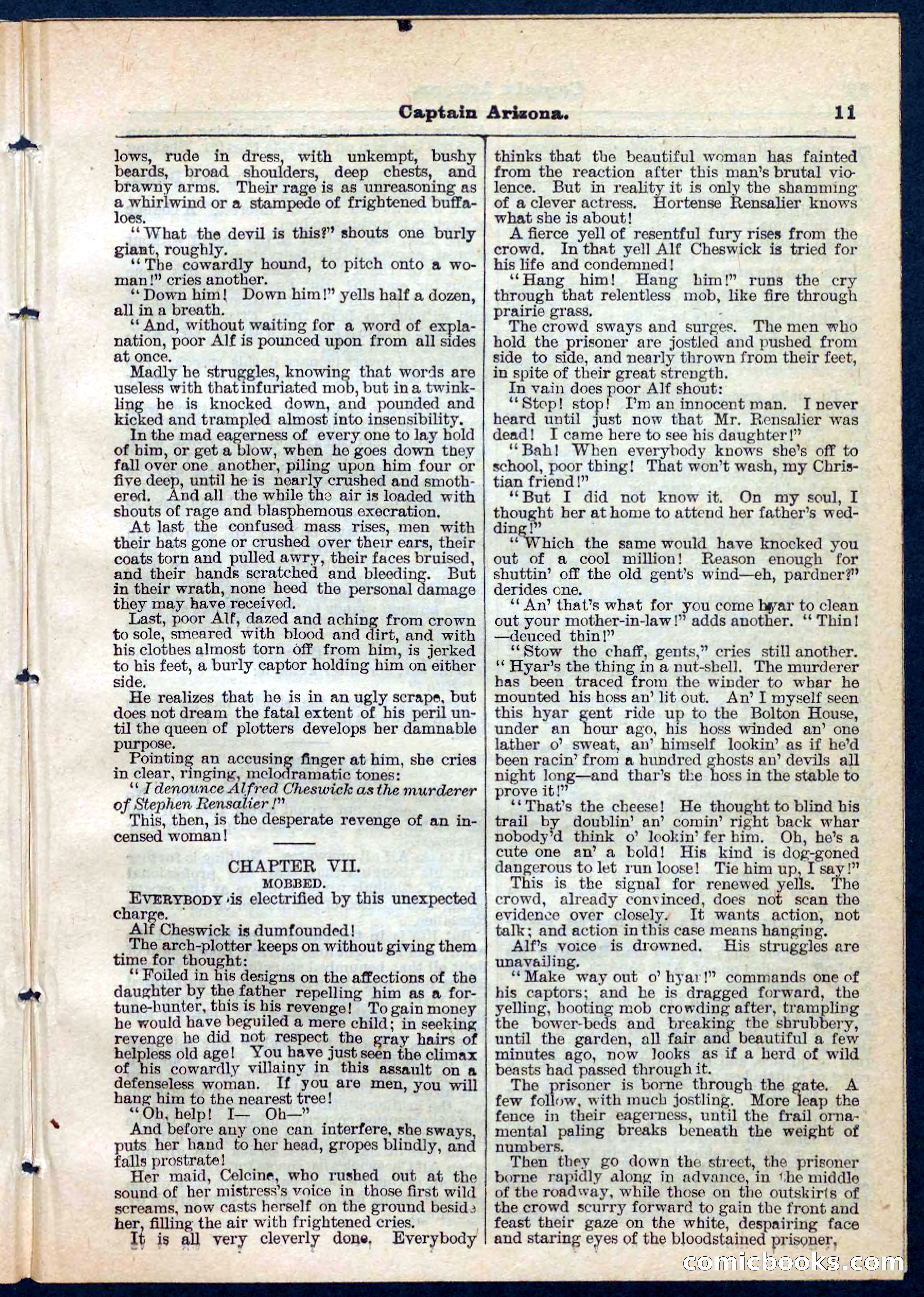 Beadle's Pocket Library No. 140 — page 11 of 32