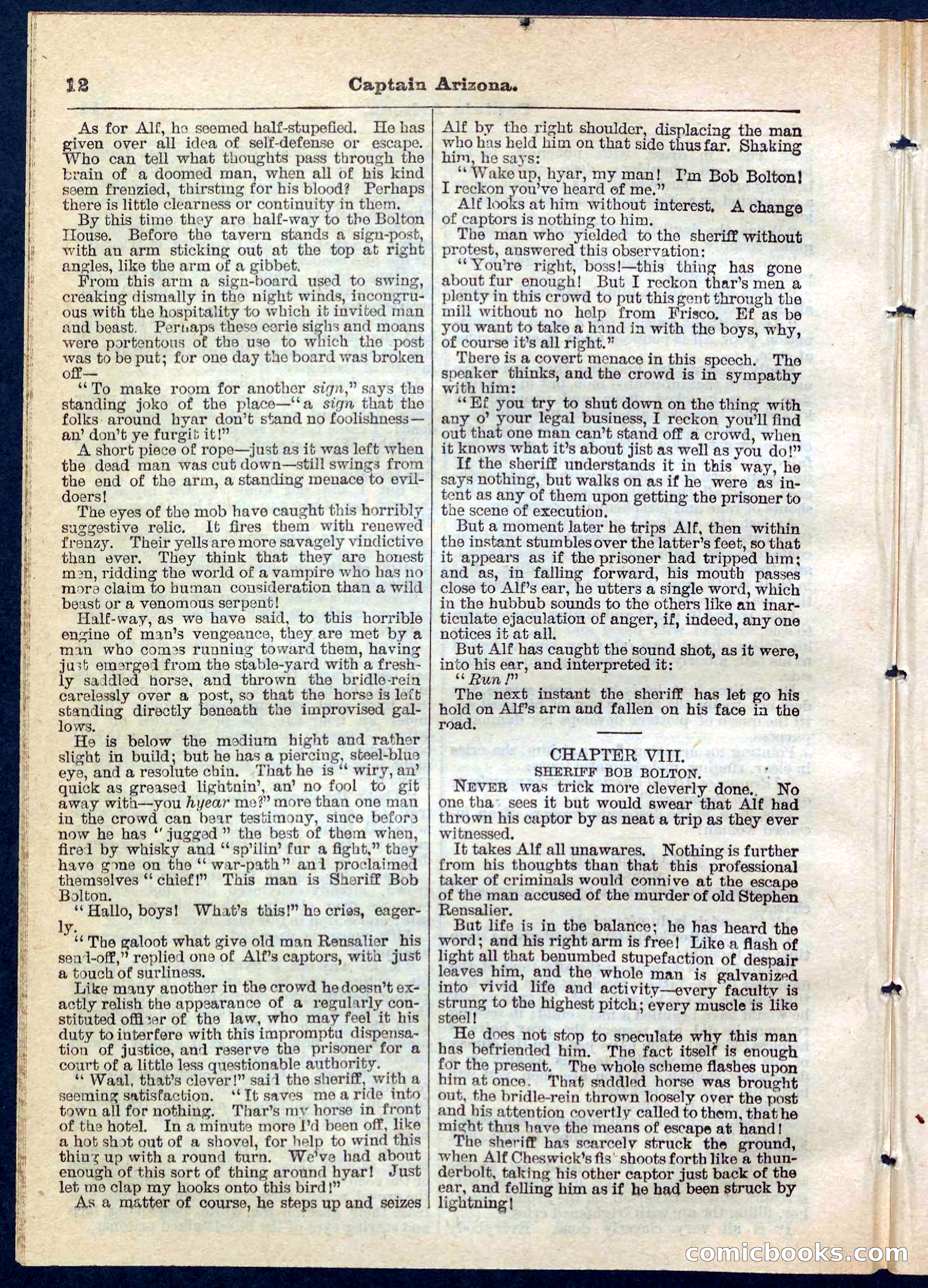 Beadle's Pocket Library No. 140 — page 12 of 32