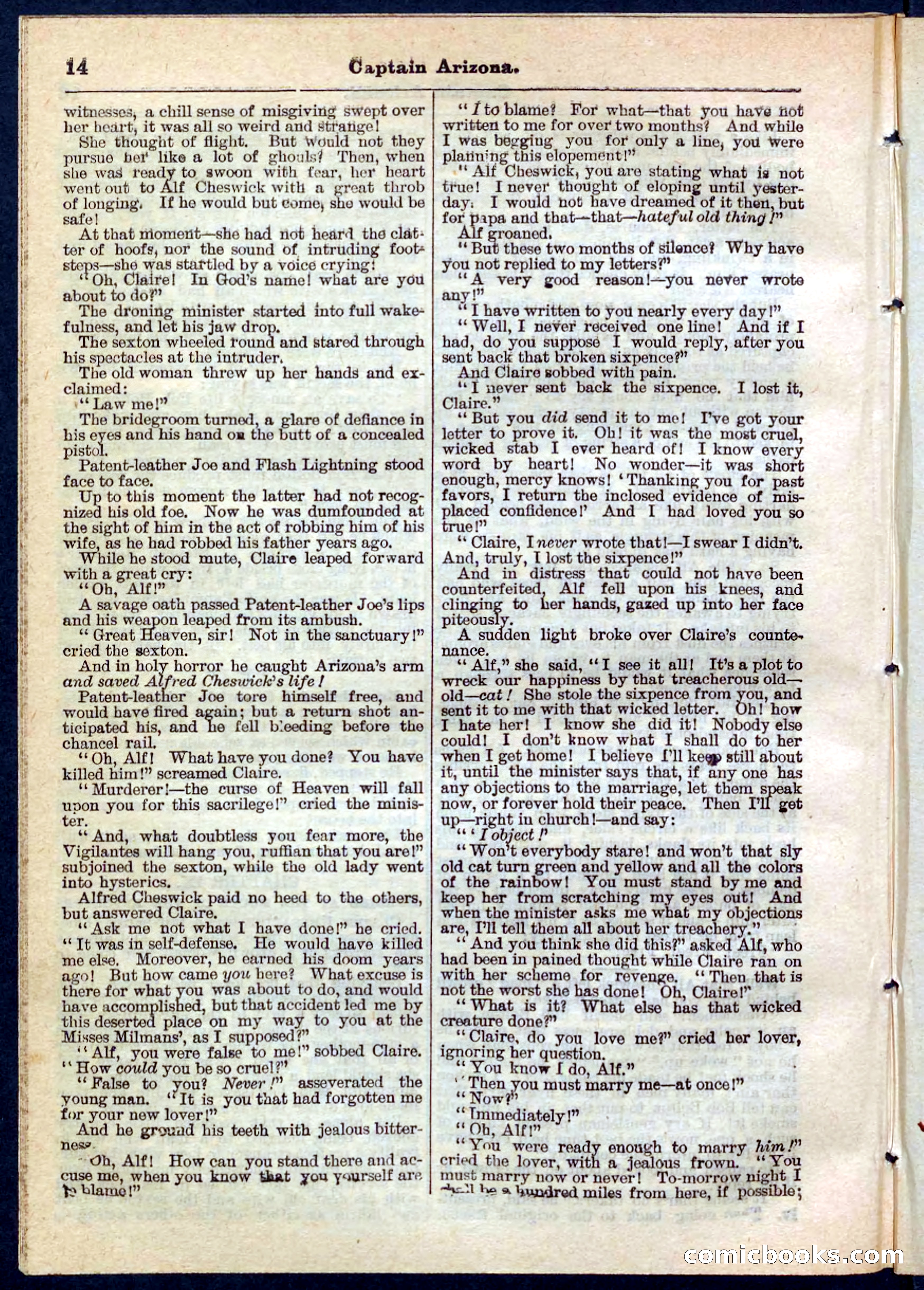 Beadle's Pocket Library No. 140 — page 14 of 32
