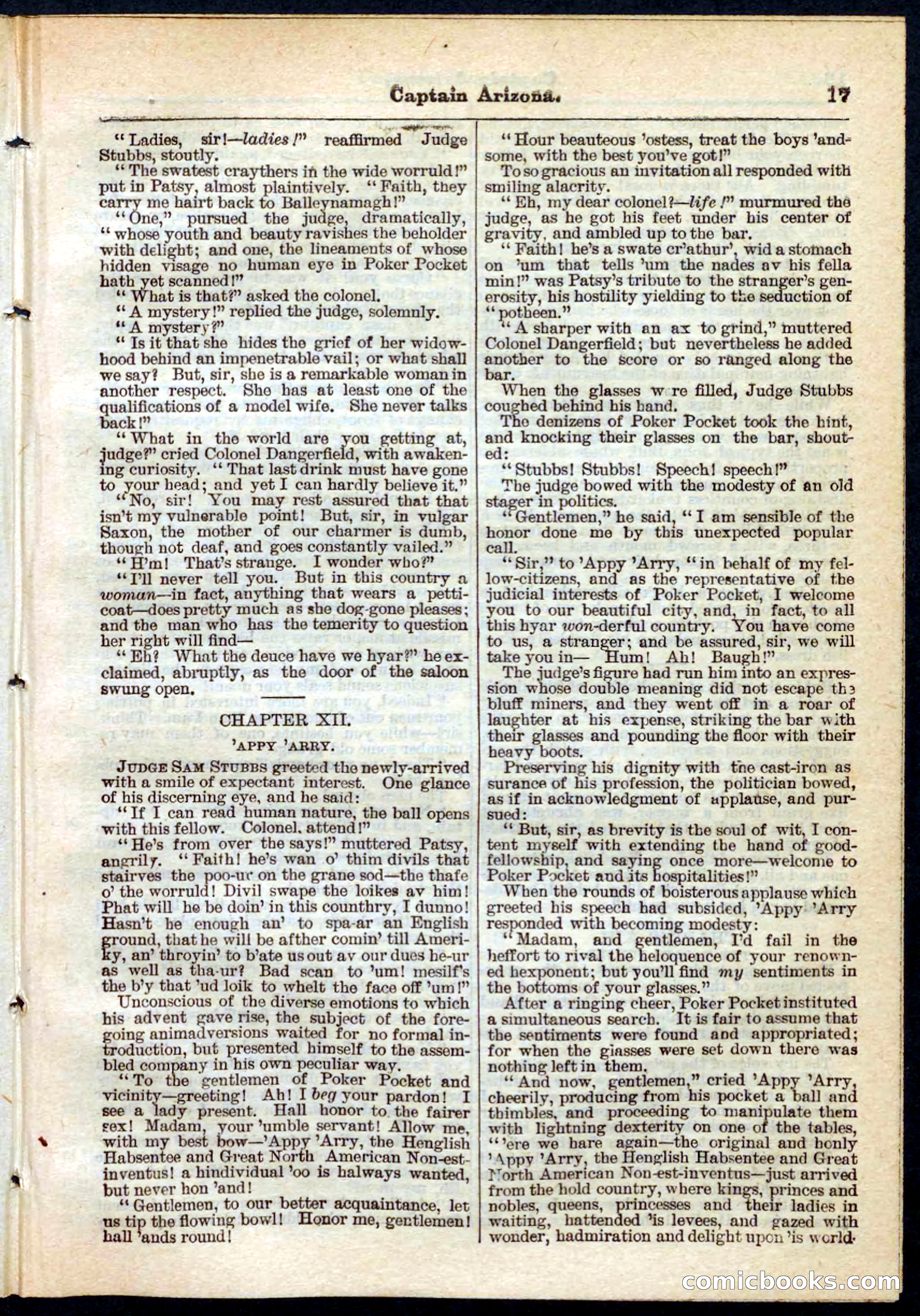 Beadle's Pocket Library No. 140 — page 17 of 32