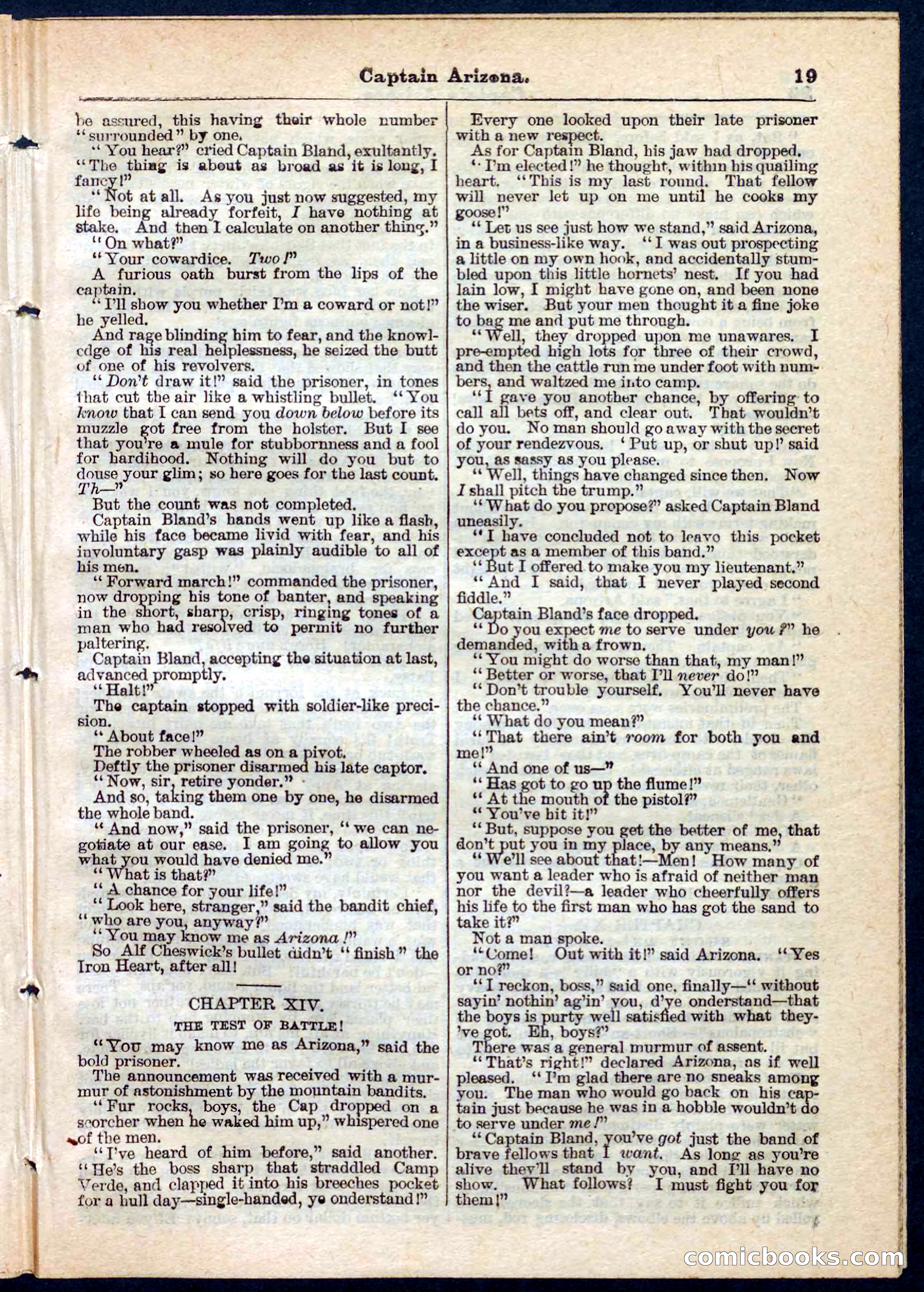 Beadle's Pocket Library No. 140 — page 19 of 32