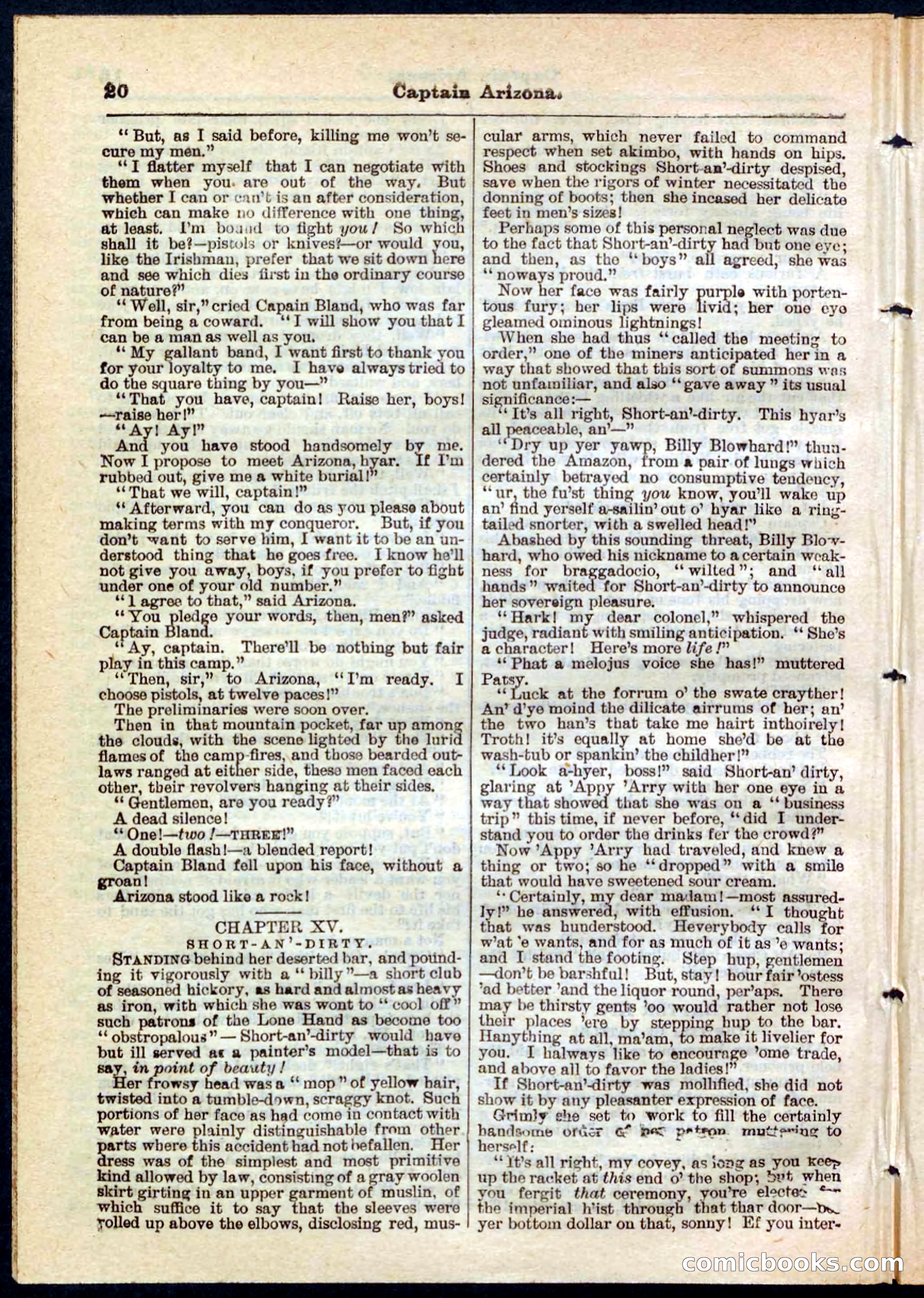 Beadle's Pocket Library No. 140 — page 20 of 32