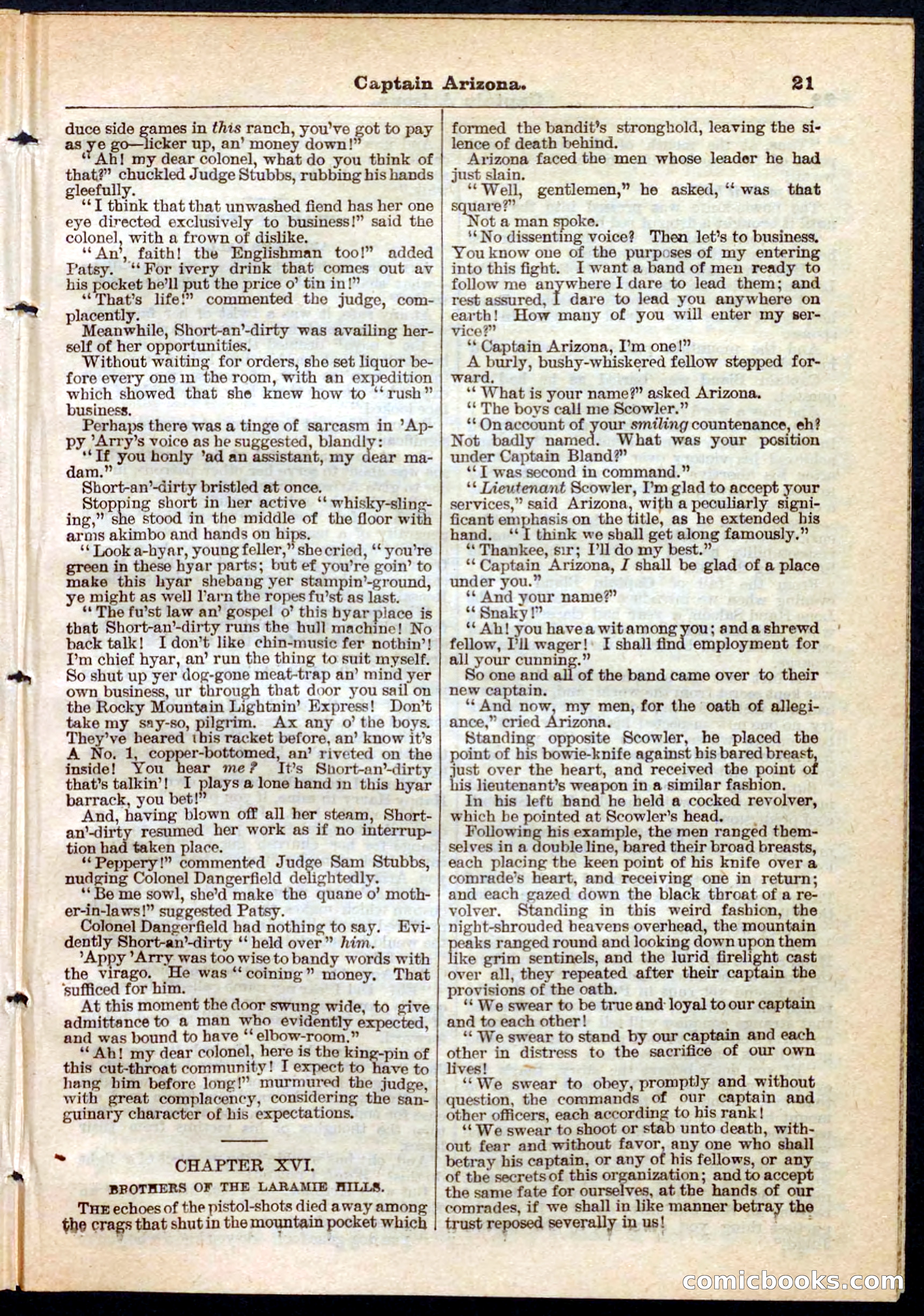 Beadle's Pocket Library No. 140 — page 21 of 32