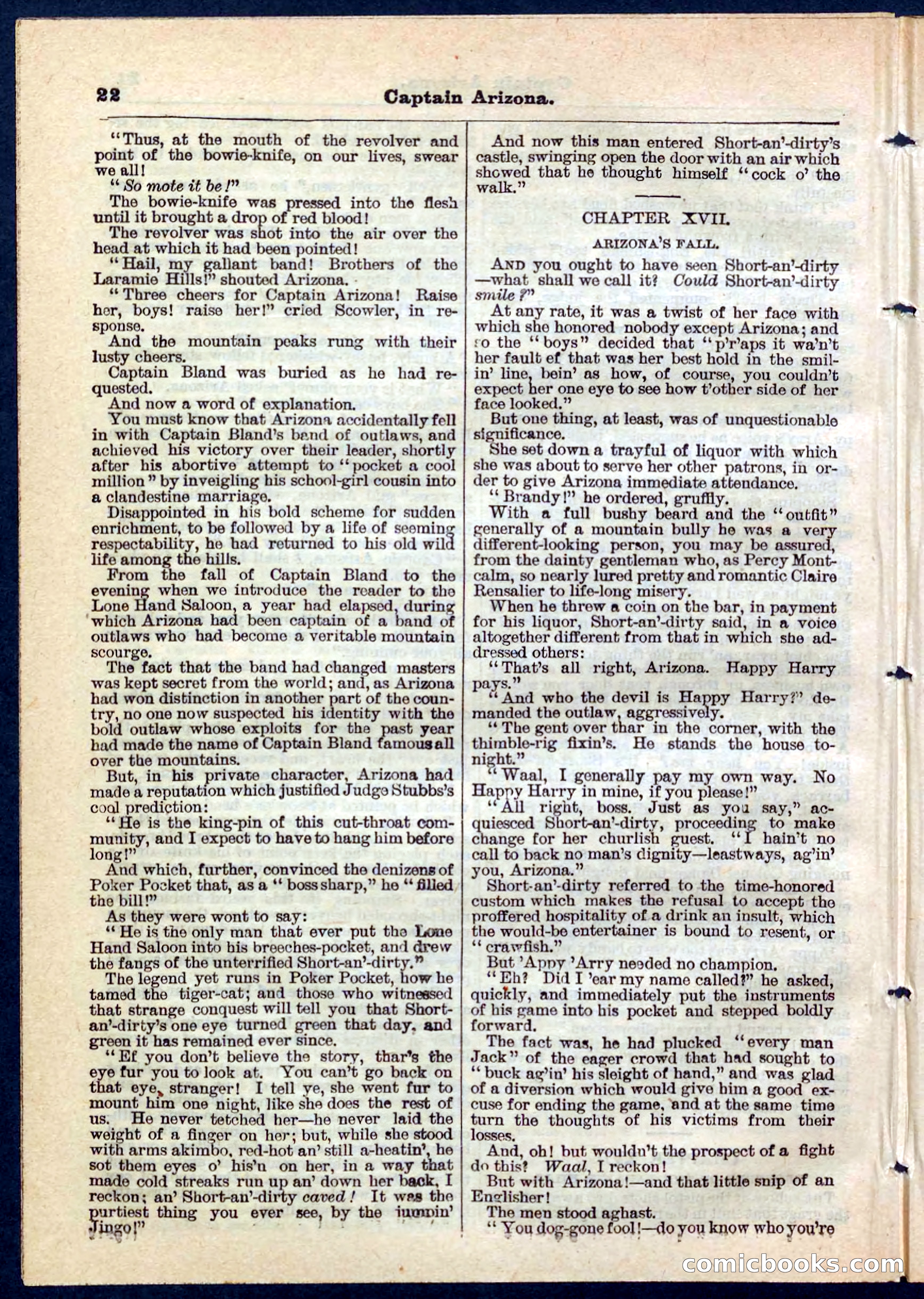 Beadle's Pocket Library No. 140 — page 22 of 32