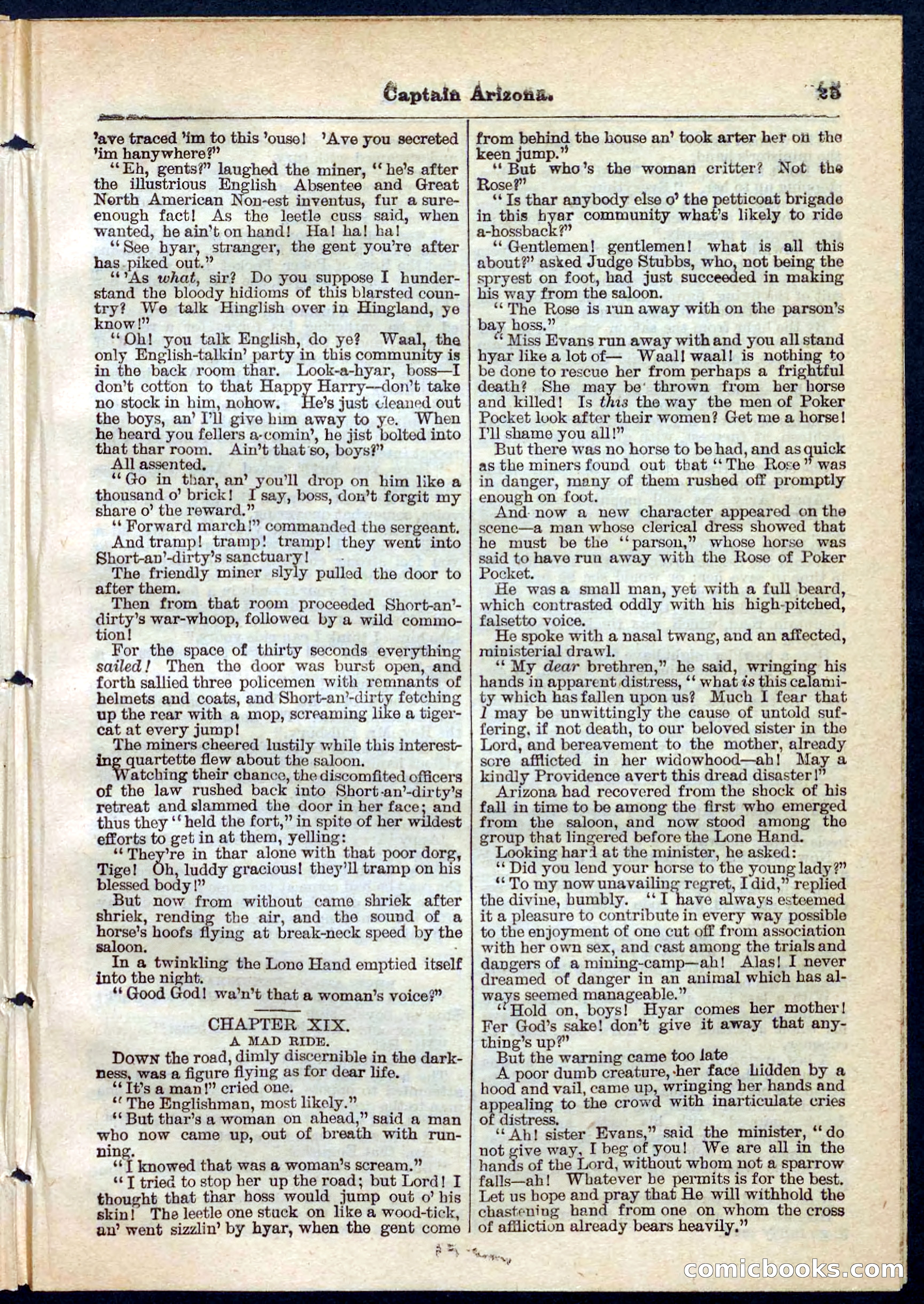 Beadle's Pocket Library No. 140 — page 25 of 32