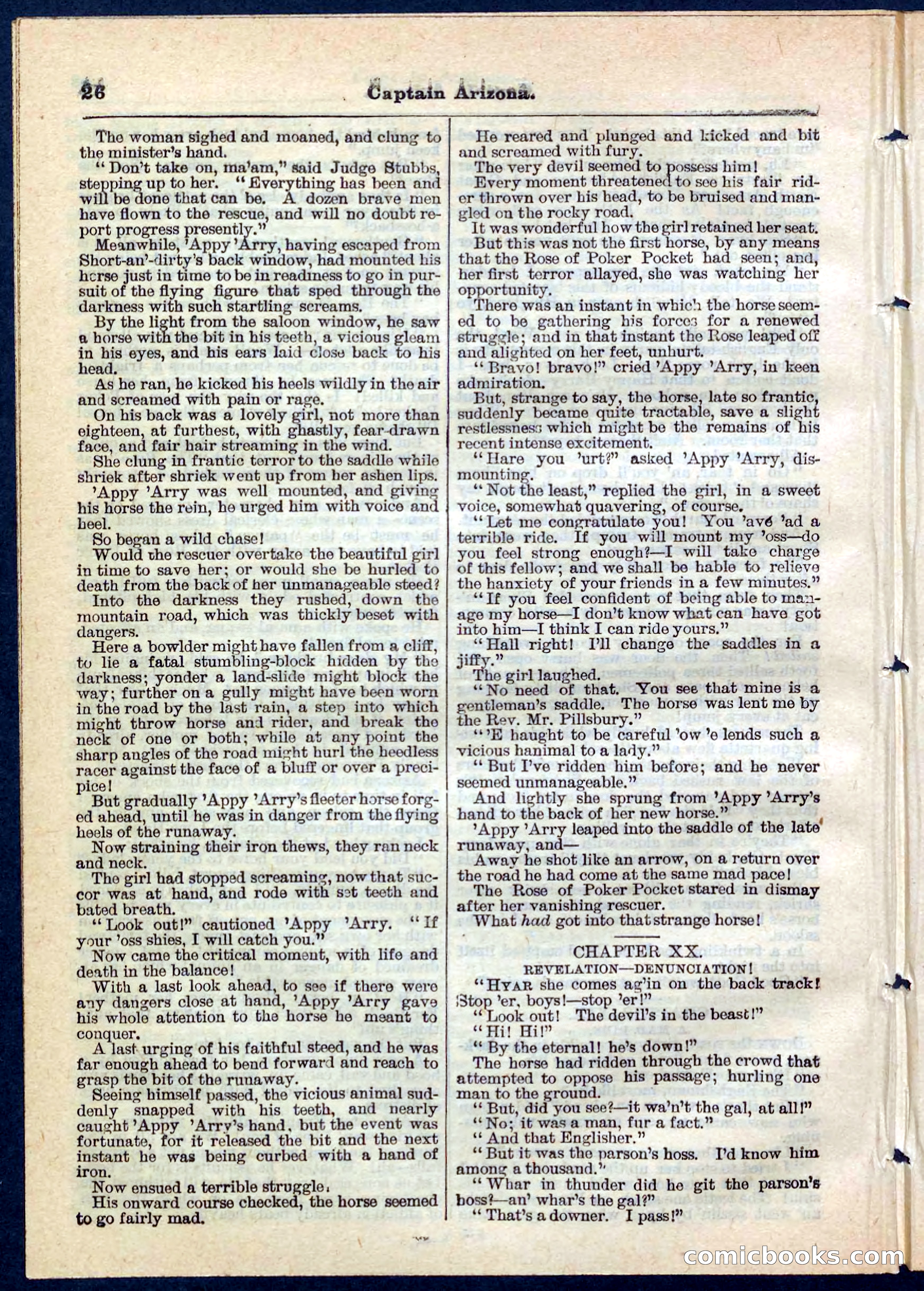 Beadle's Pocket Library No. 140 — page 26 of 32
