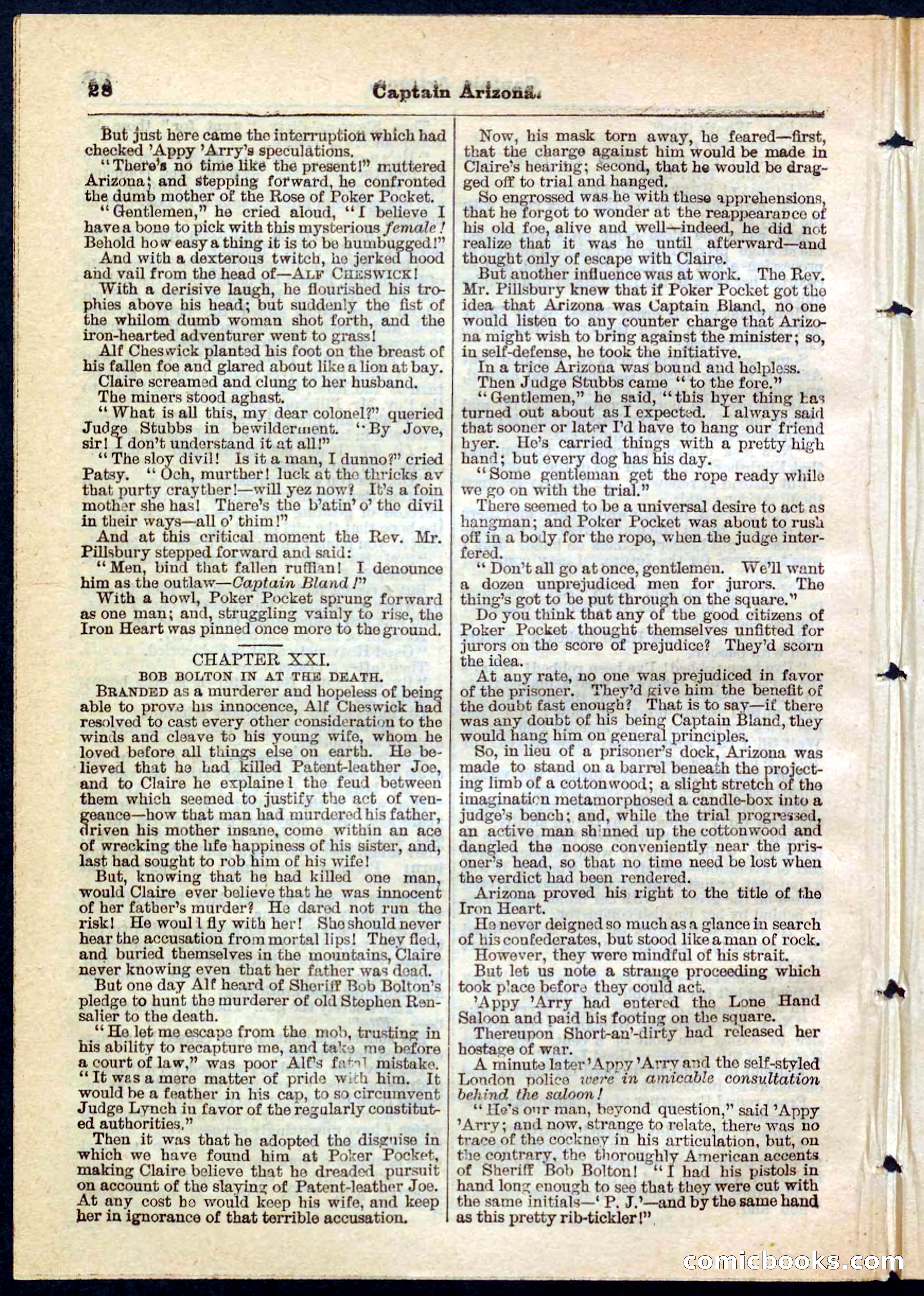Beadle's Pocket Library No. 140 — page 28 of 32