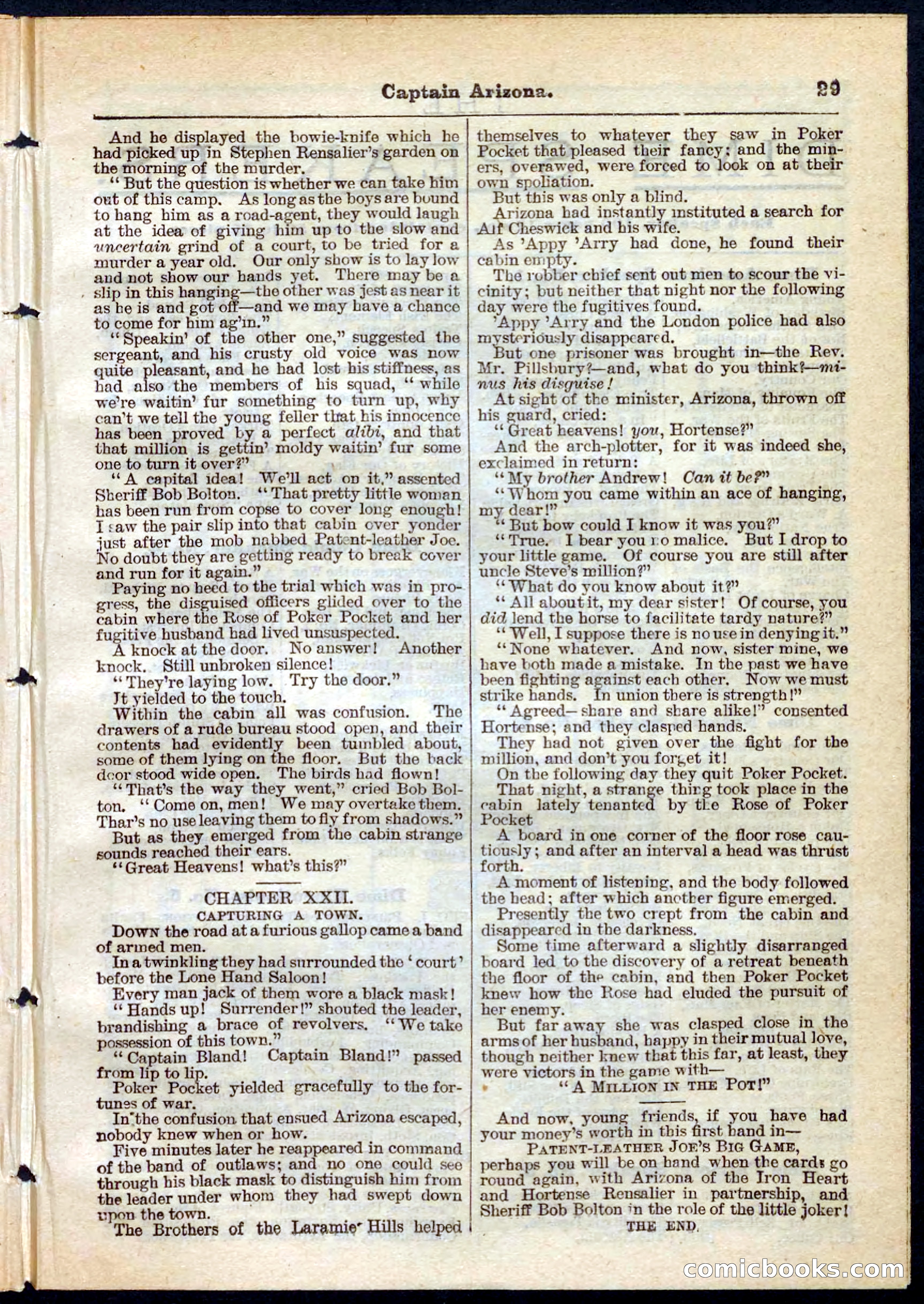 Beadle's Pocket Library No. 140 — page 29 of 32